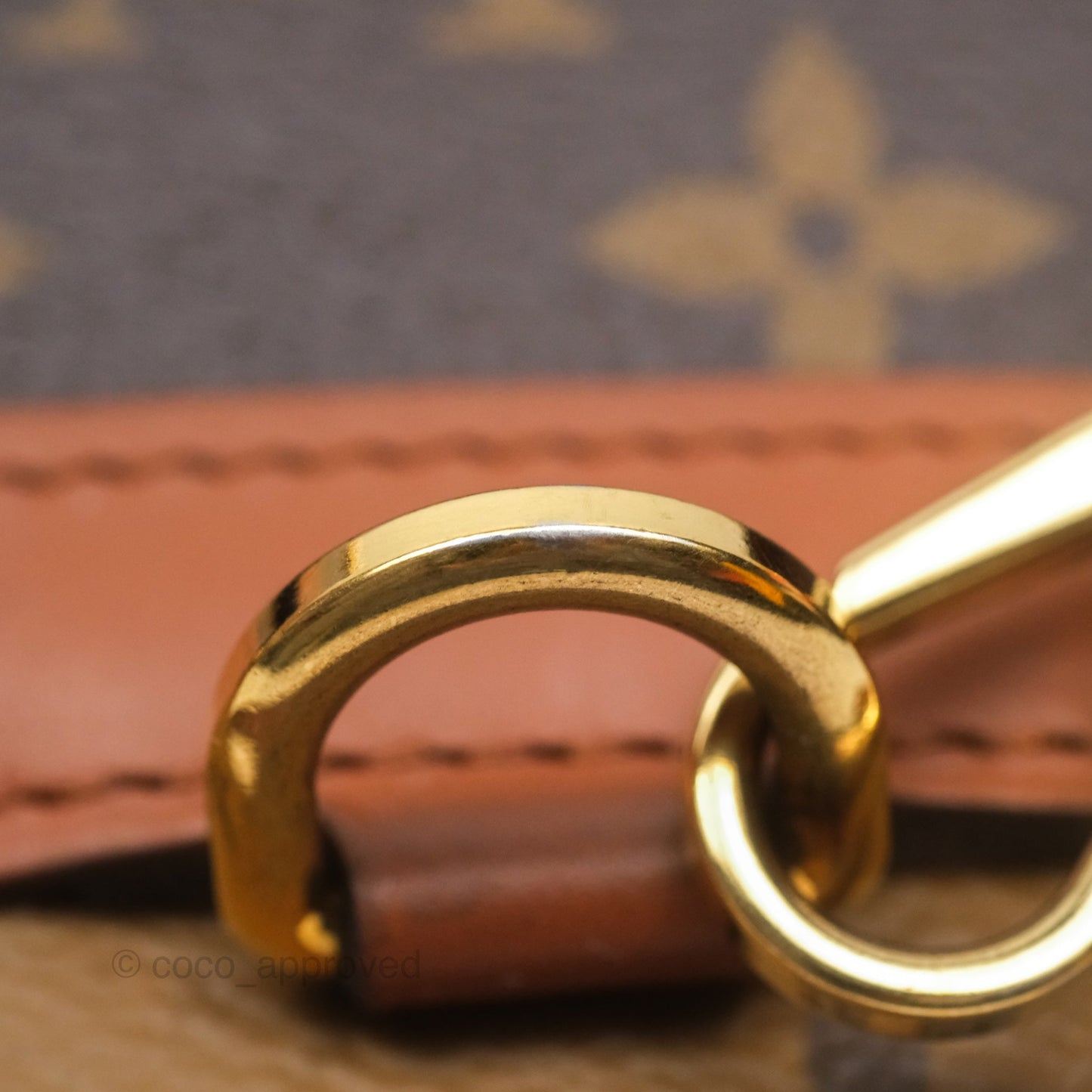 Louis Vuitton Monogram Dauphine Backpack