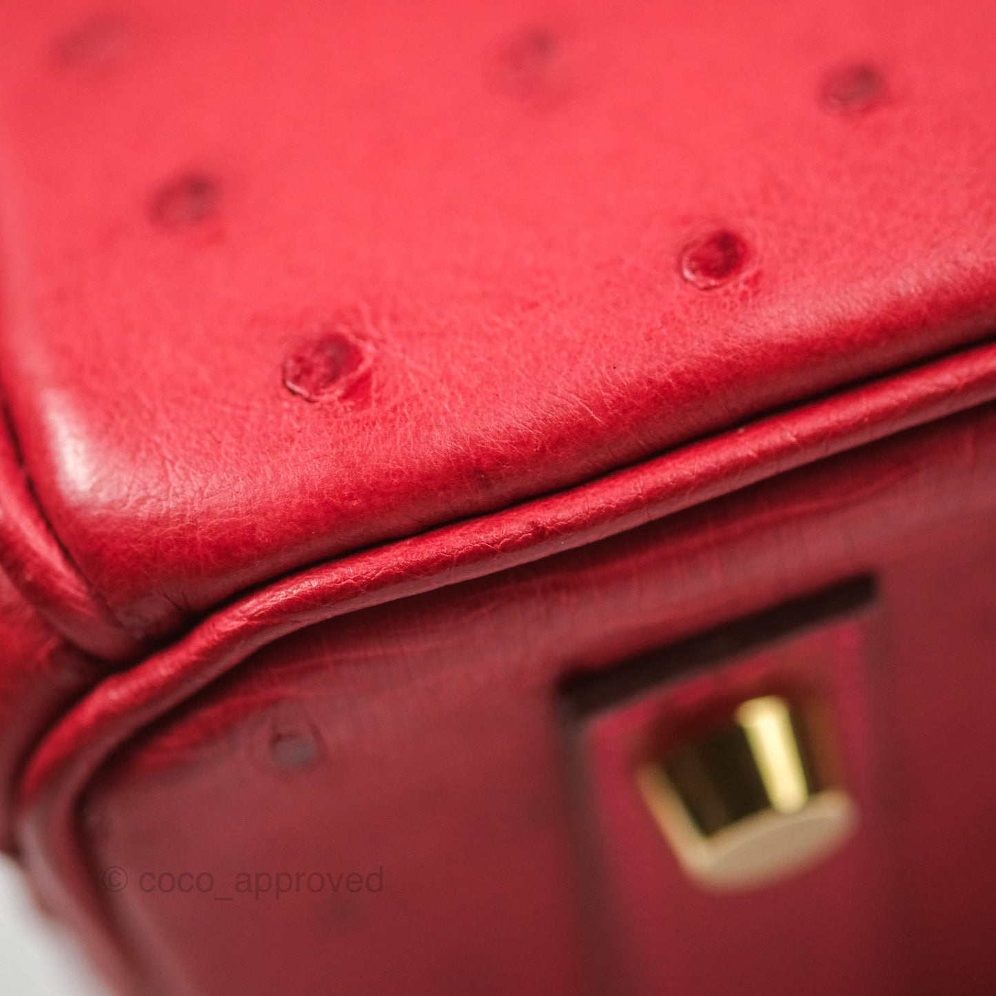 Hermès Birkin Retourne 30 Rouge Vif 53 Ostrich Gold Hardware