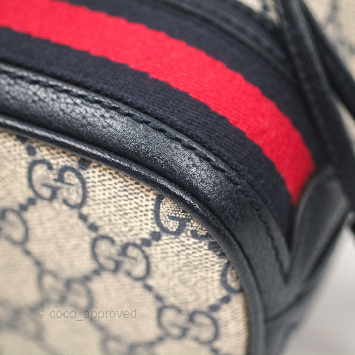 Gucci Ophidia Bucket Bag