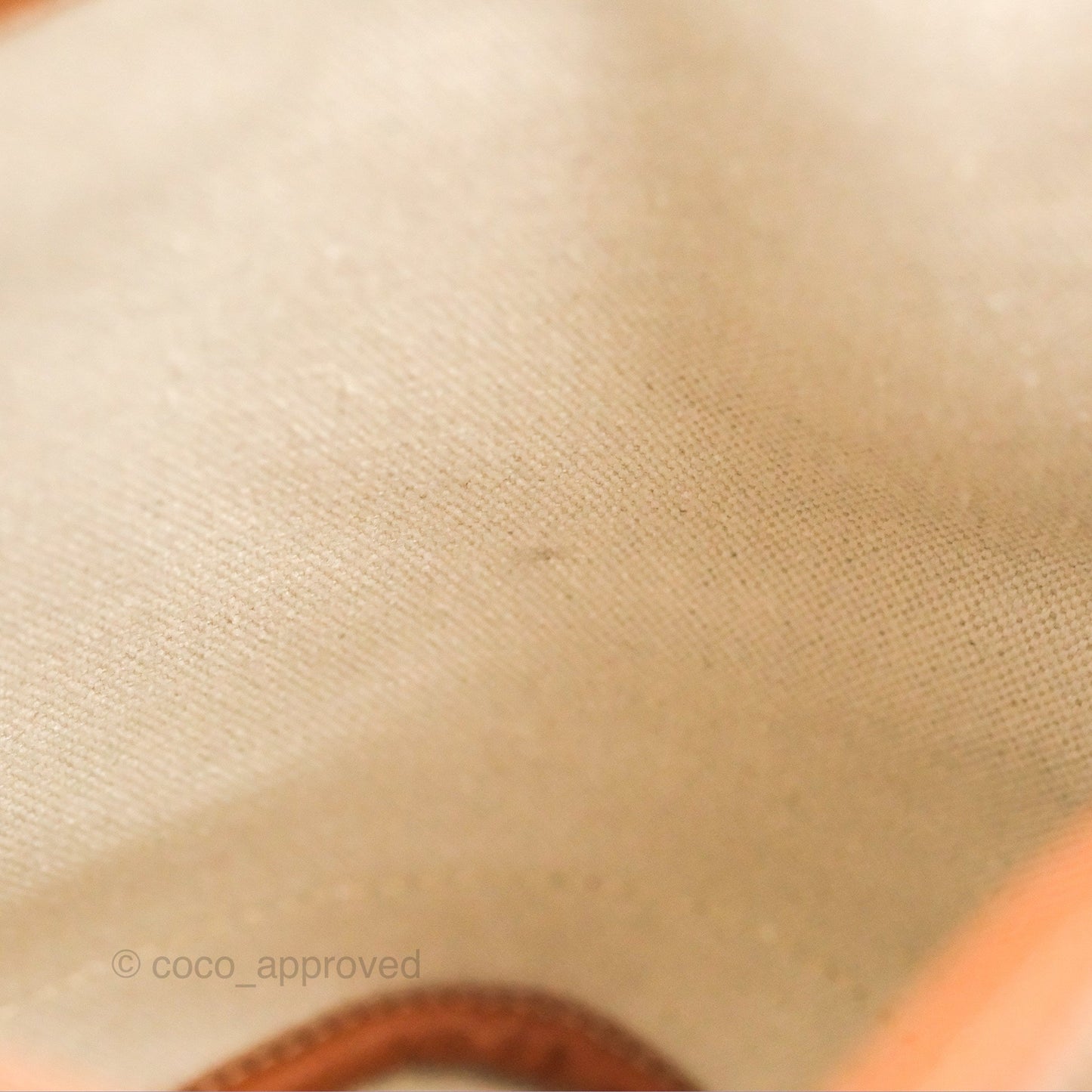 Goyard Petit Flot Bucket Bag Black & Tan Goyardine