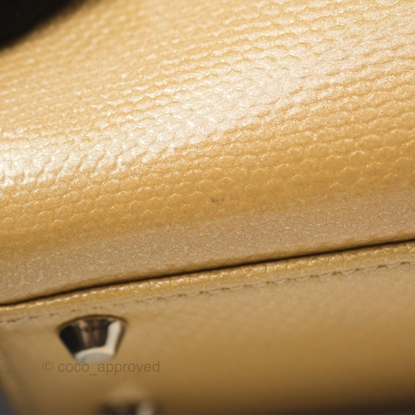 Christian Dior Mini Lady Dior Beige Lizard Gold Hardware