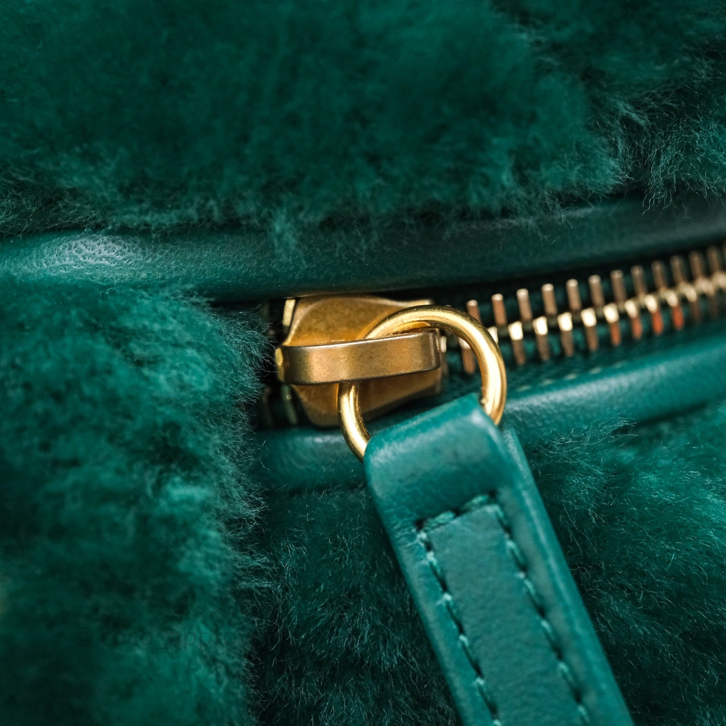 Chanel Small Vanity Case Green Shearling Aged Gold Hardware 22A