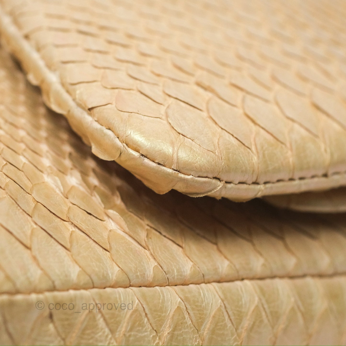 Chanel Jumbo Double Flap Iridescent Gold Python Gold Hardware⁣⁣
