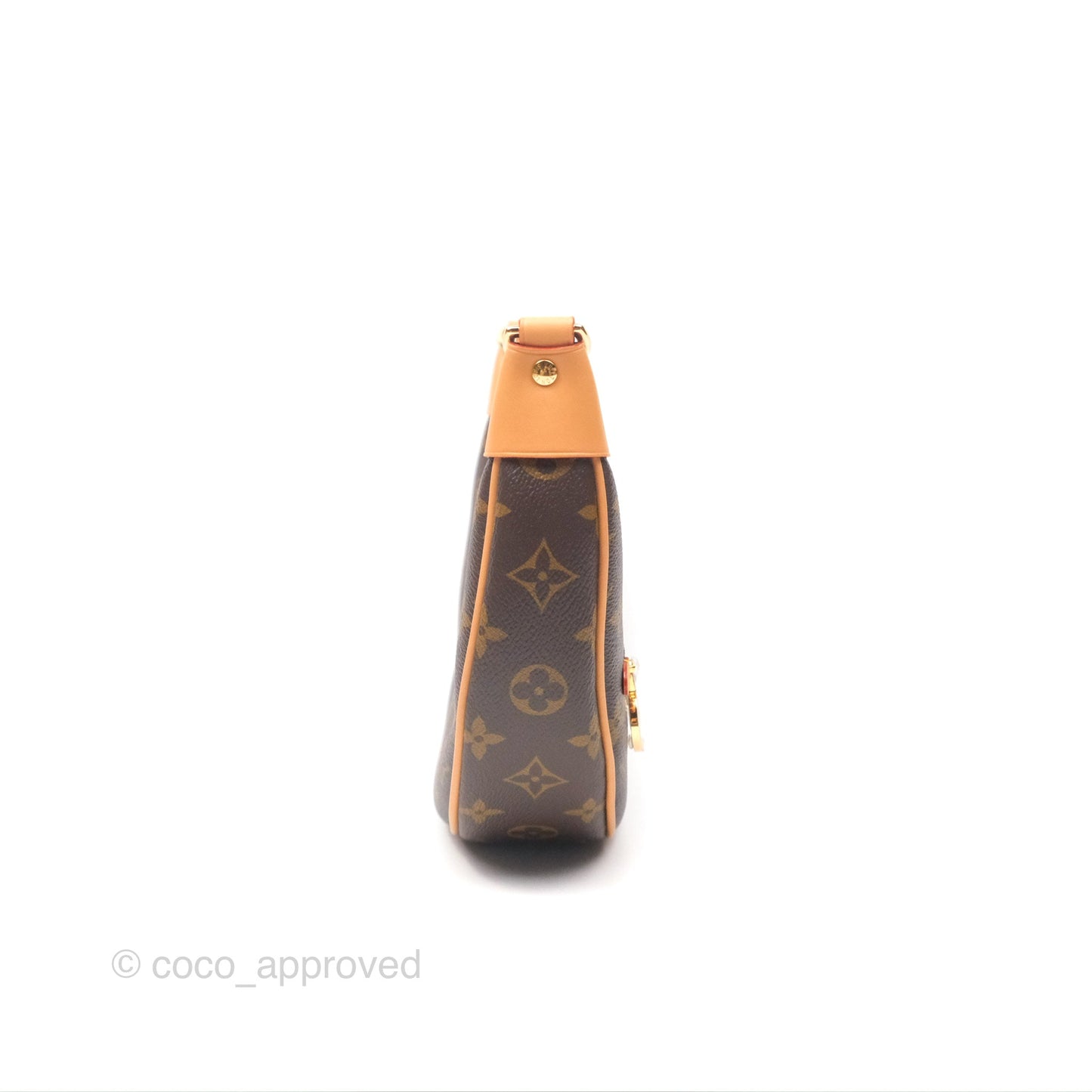Louis Vuitton Loop Monogram Canvas