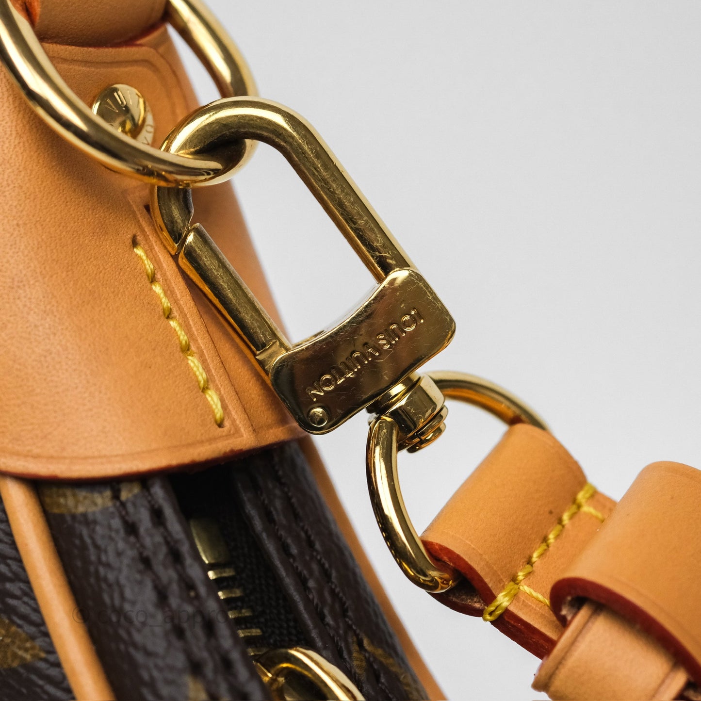 Louis Vuitton Loop Monogram Canvas