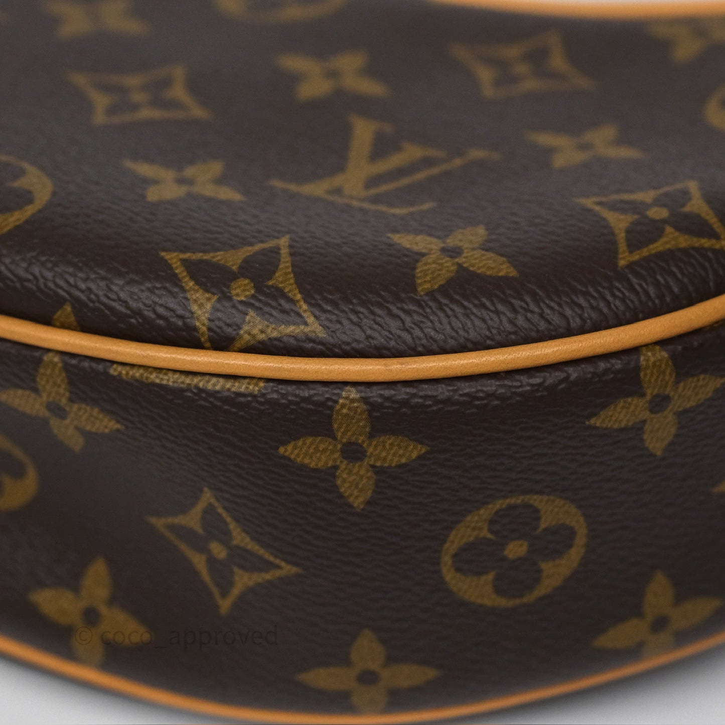 Louis Vuitton Loop Monogram Canvas