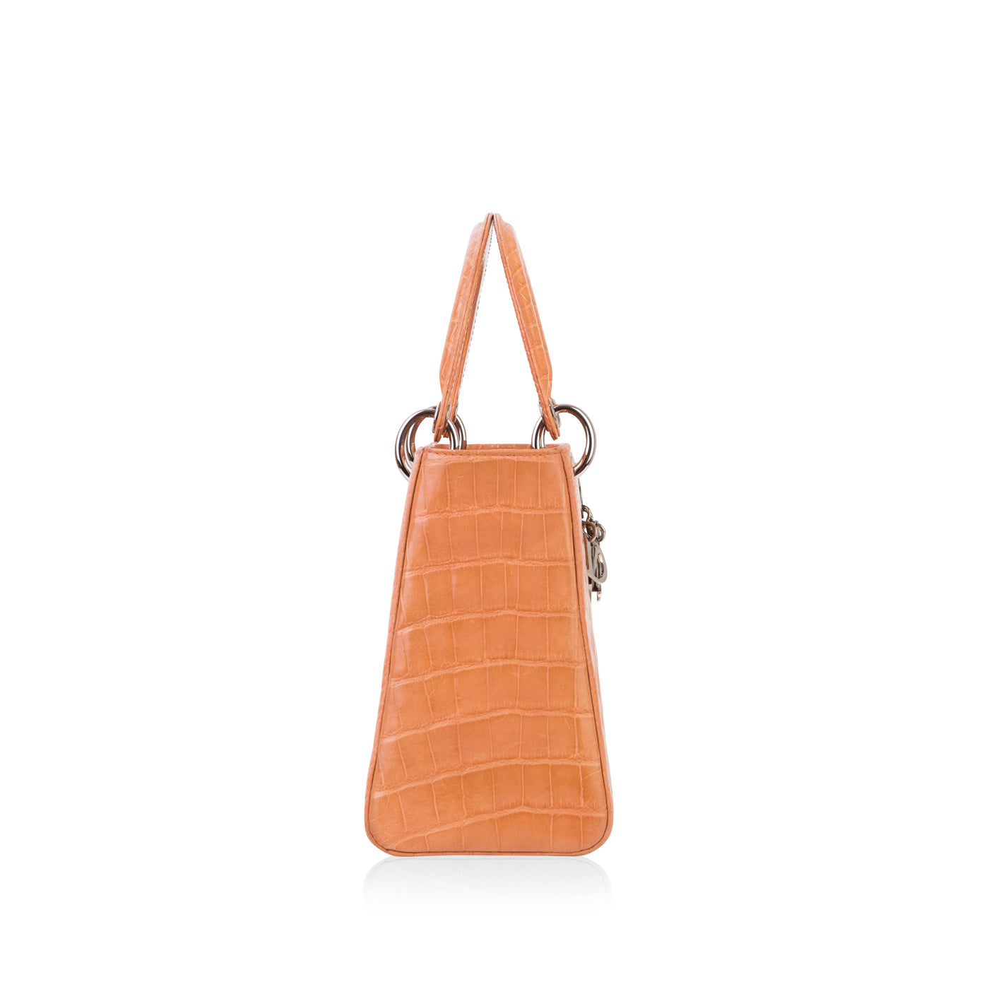Luxury Dior Lady Luxury Dior Crocodile