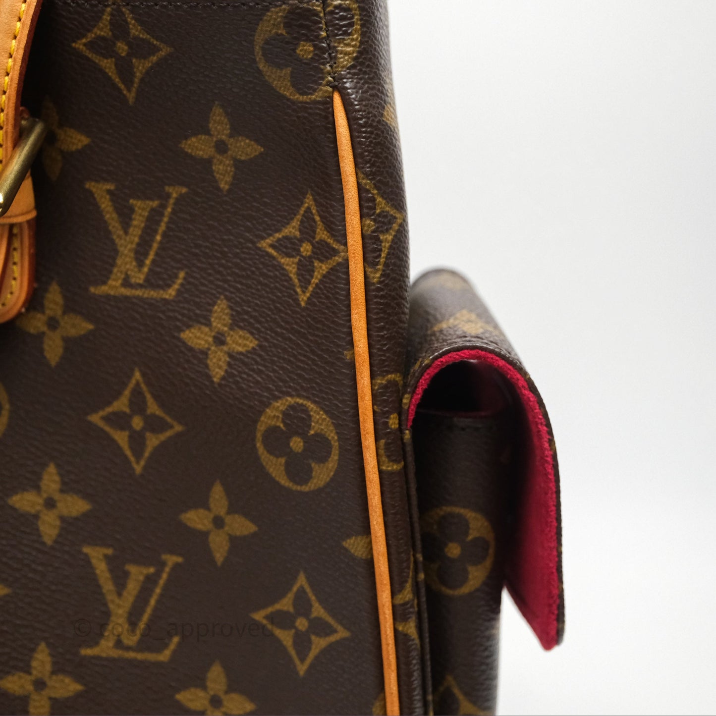 Louis Vuitton Multipli-Cite Tote Monogram Canvas