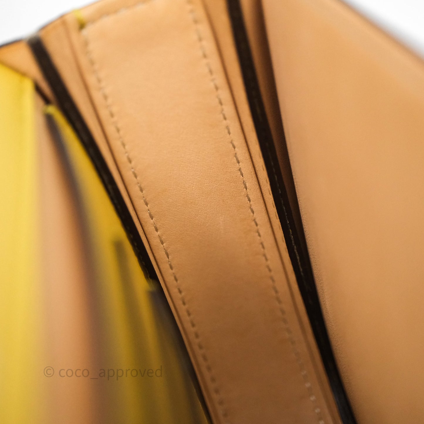 Delvaux Small Lingot Bag Pollen Alpina Calfskin Gold Hardware