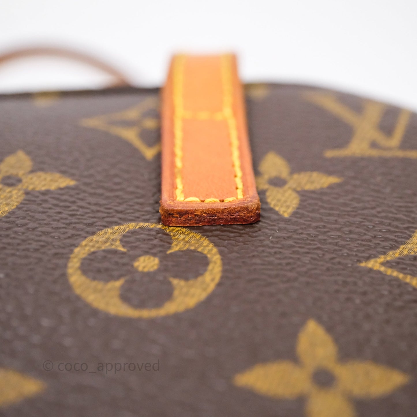 Louis Vuitton Monogram Spontini 2way Bag