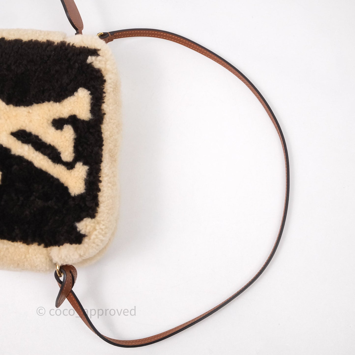 Louis Vuitton Teddy Beach Pouch Monogram