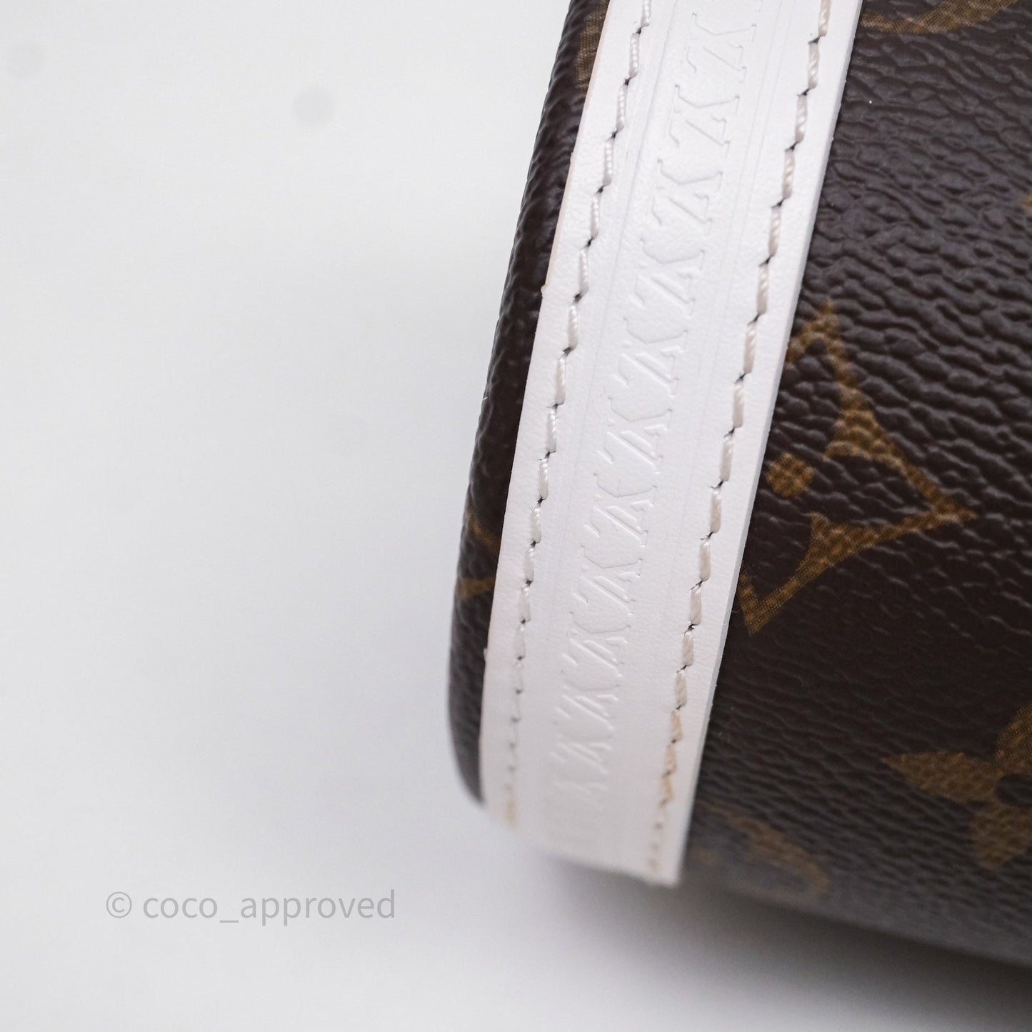 Louis Vuitton Monogram Papillon Trunk Bag