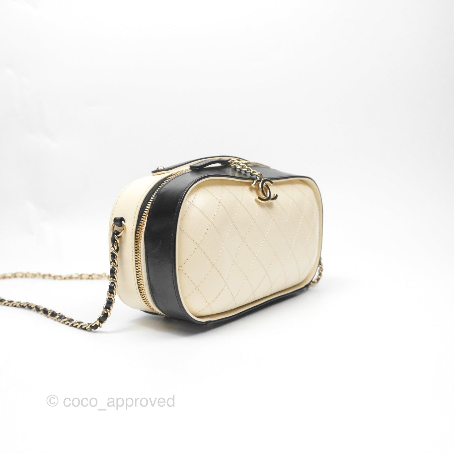Chanel Camera Case Bag Black/White Calfskin Gold Hardware