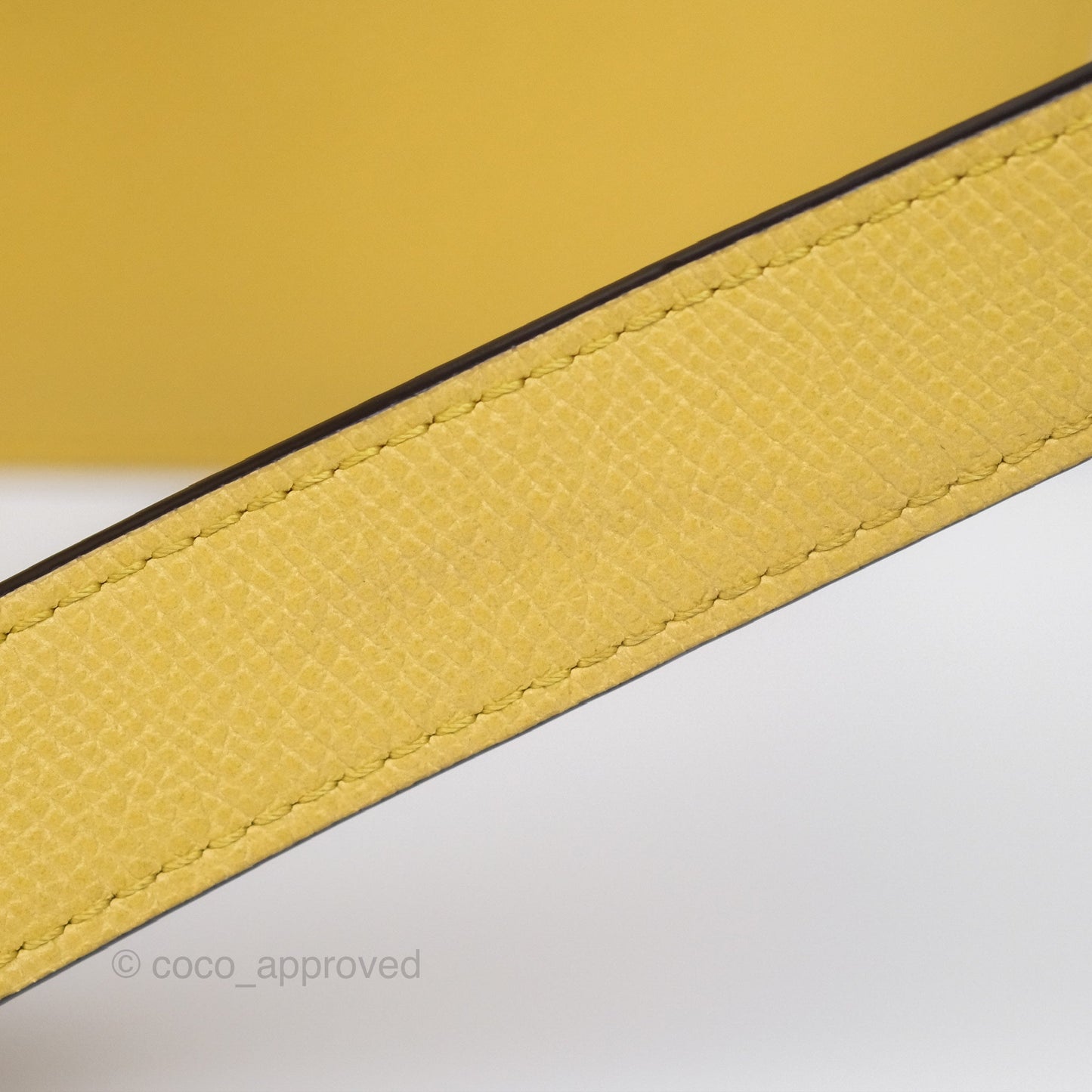 Delvaux Lingot Bag Pollen Alpina Calfskin