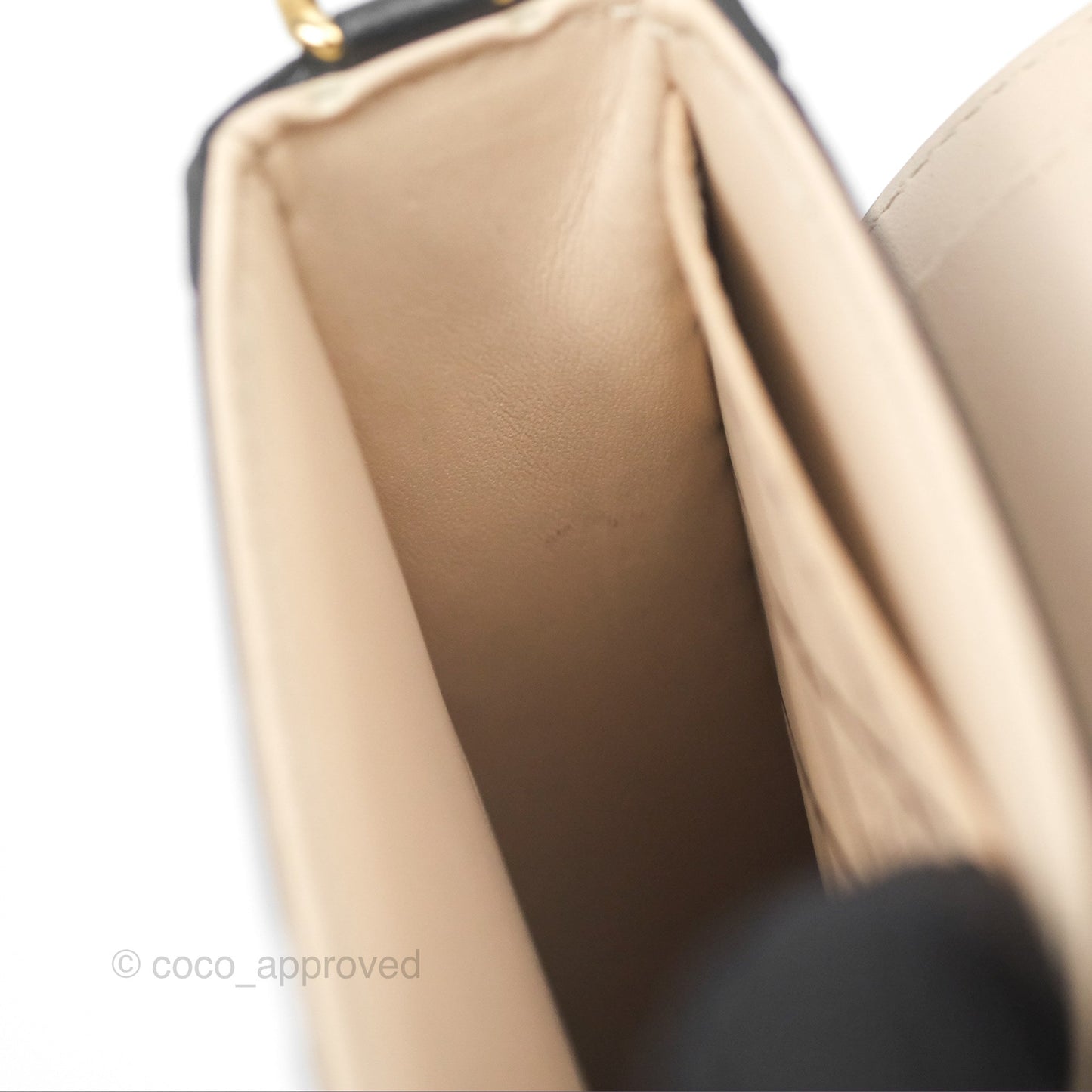 Louis Vuitton Monogram Vertical Trunk Pochette