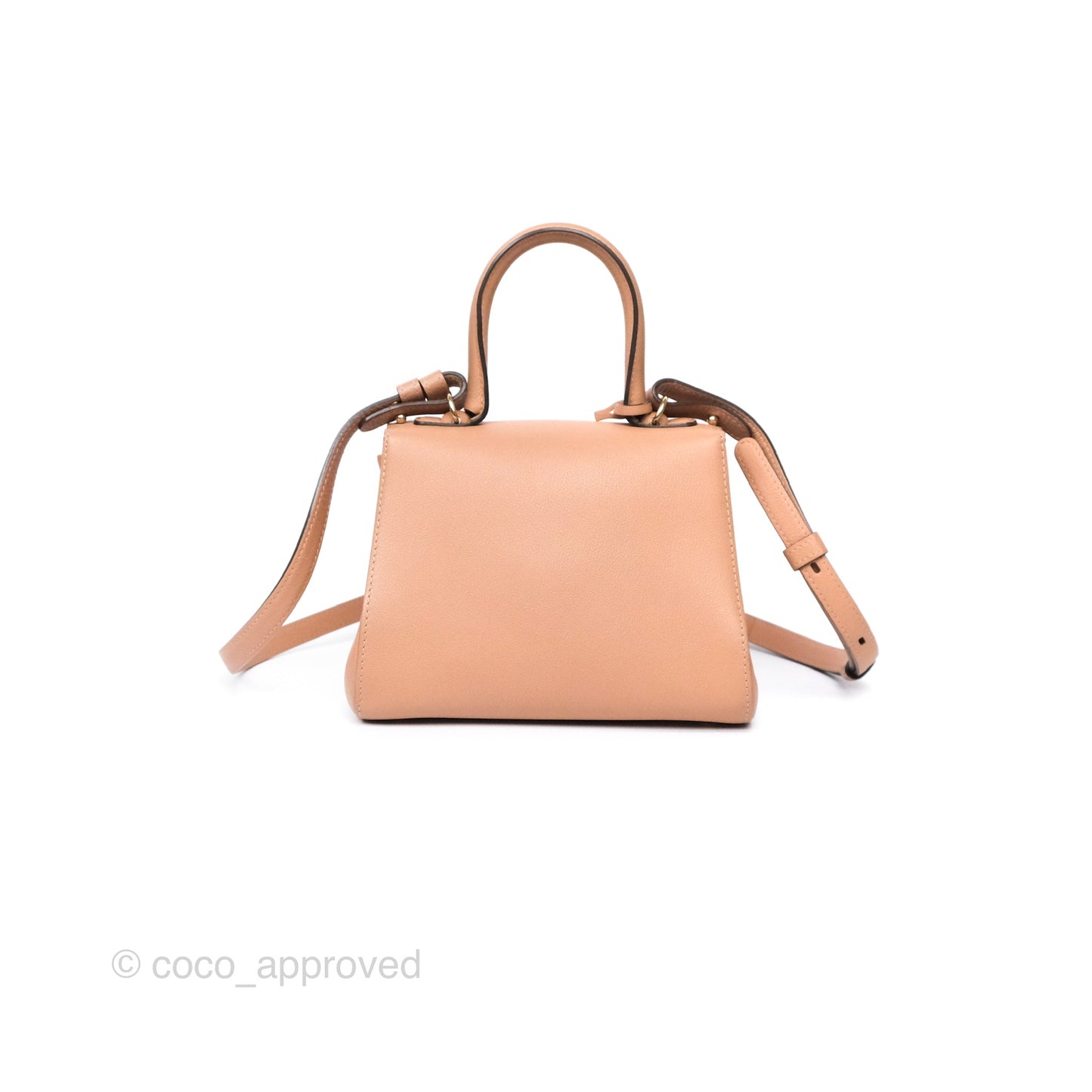 Delvaux Mini Brillant Bag Nude Grained Calfskin Gold Hardware