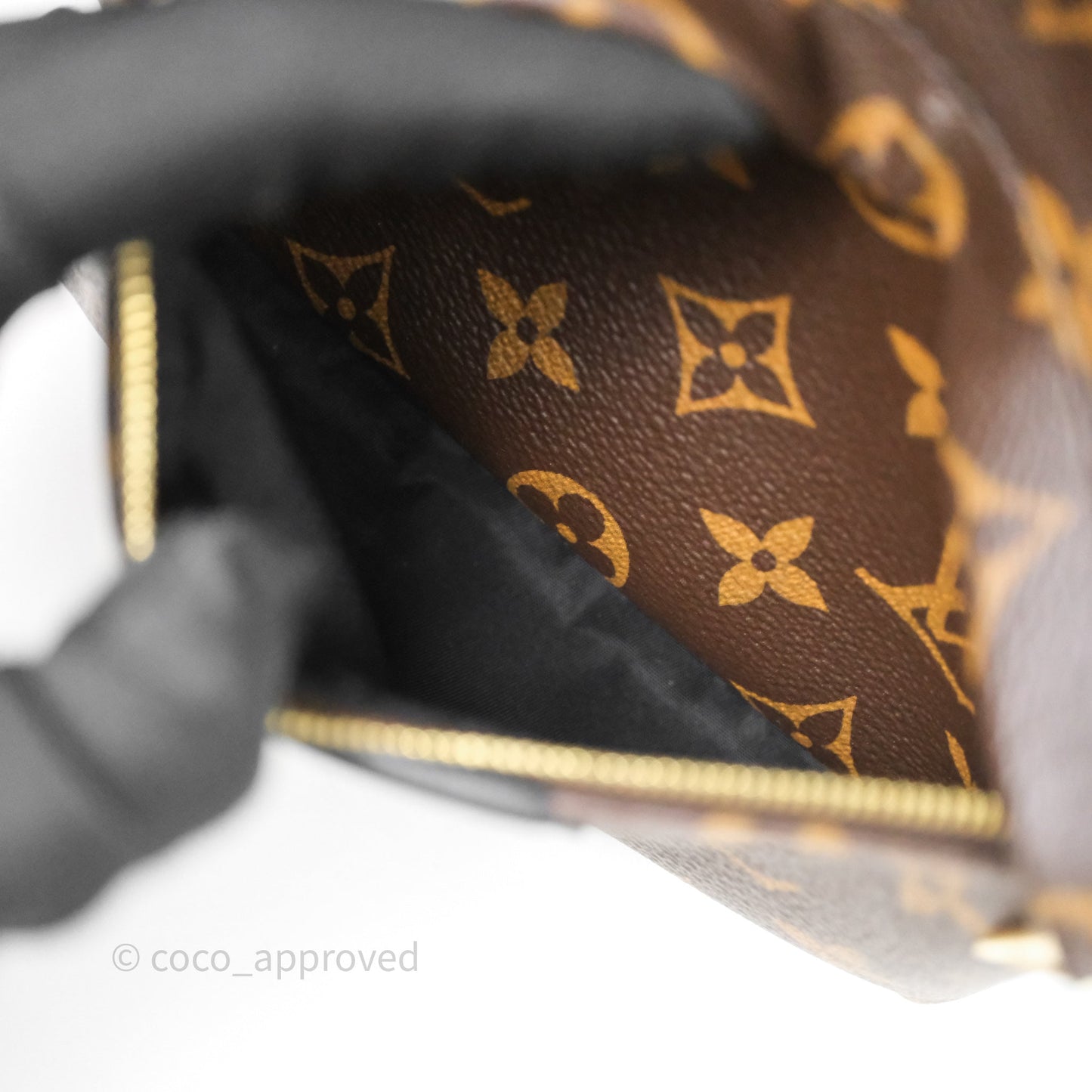 Louis Vuitton Palm Springs Backpack⁣ Monogram PM