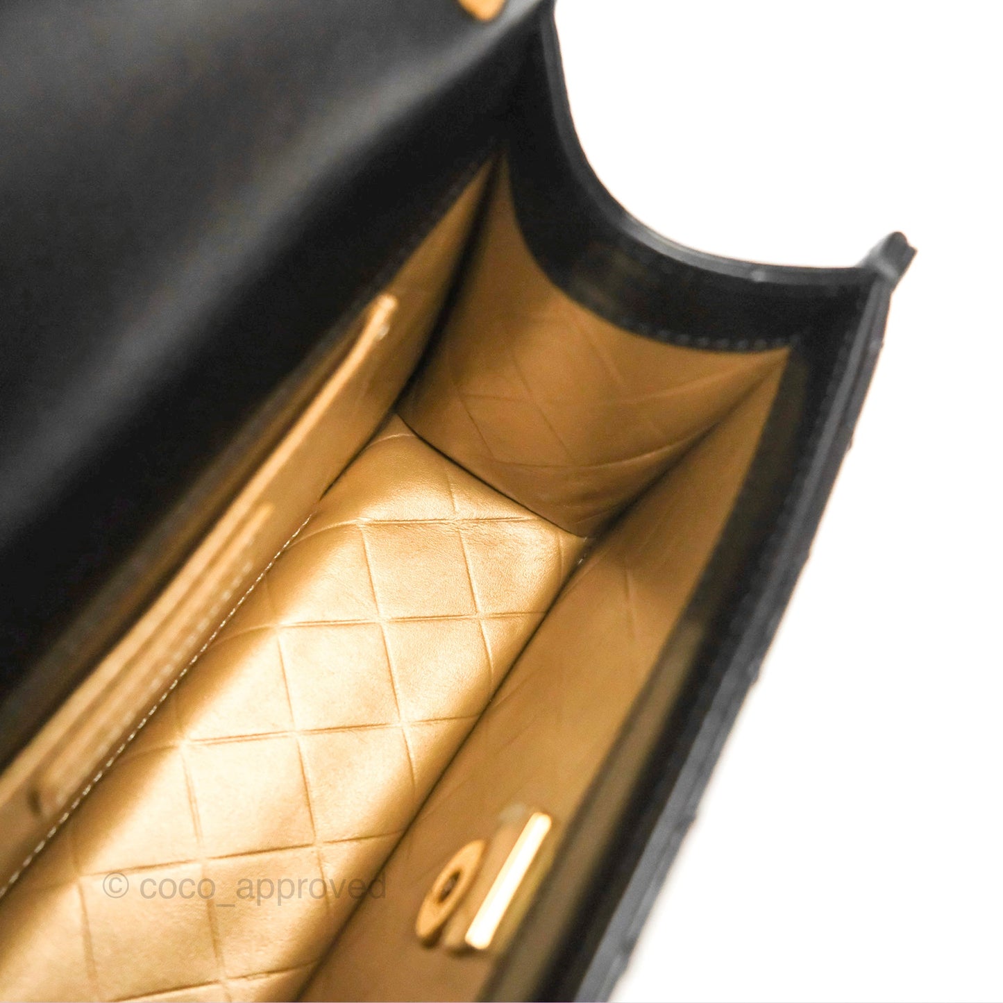 Chanel Mini Diana Flap Bag Black Calfskin Aged Gold Hardware 21B