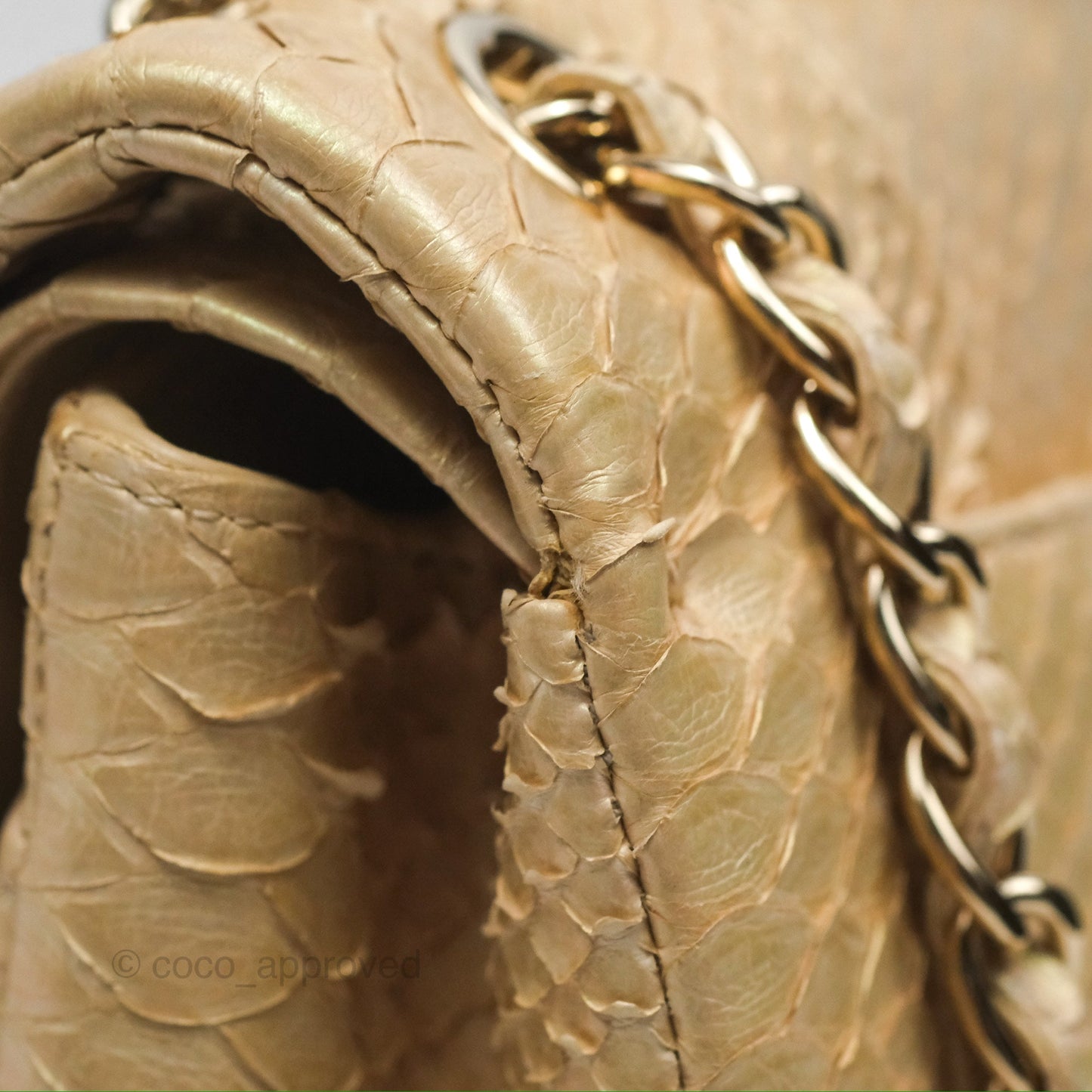 Chanel Jumbo Double Flap Iridescent Gold Python Gold Hardware⁣⁣