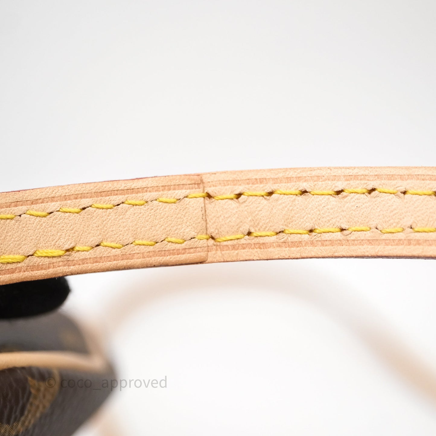 Louis Vuitton Nano Speedy Monogram Canvas