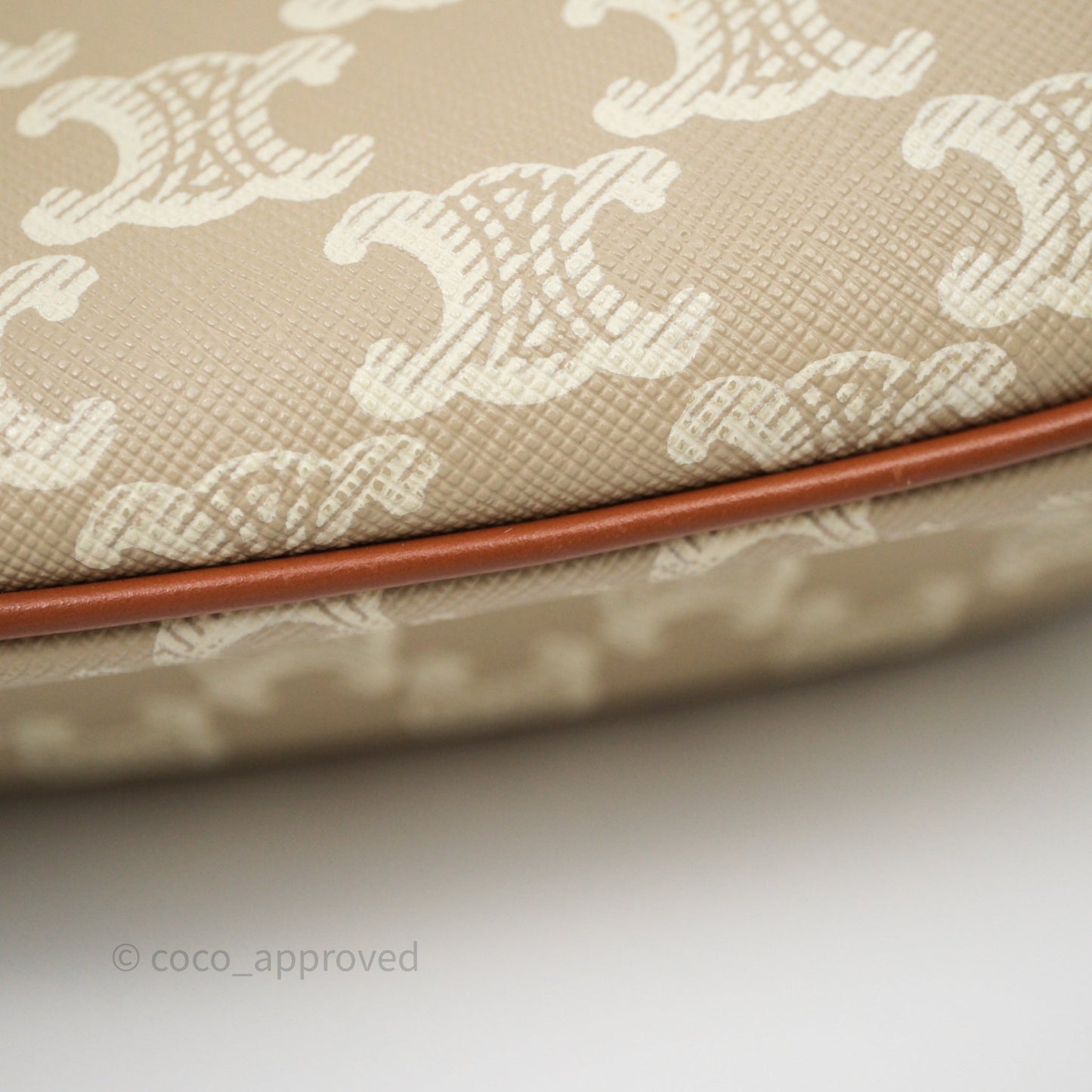 Celine Ava Bag In Triomphe Canvas Calfskin Grege