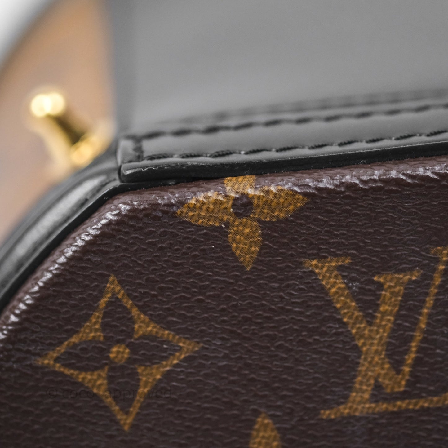 Louis Vuitton Monogram Canvas Reverse Cannes Bag