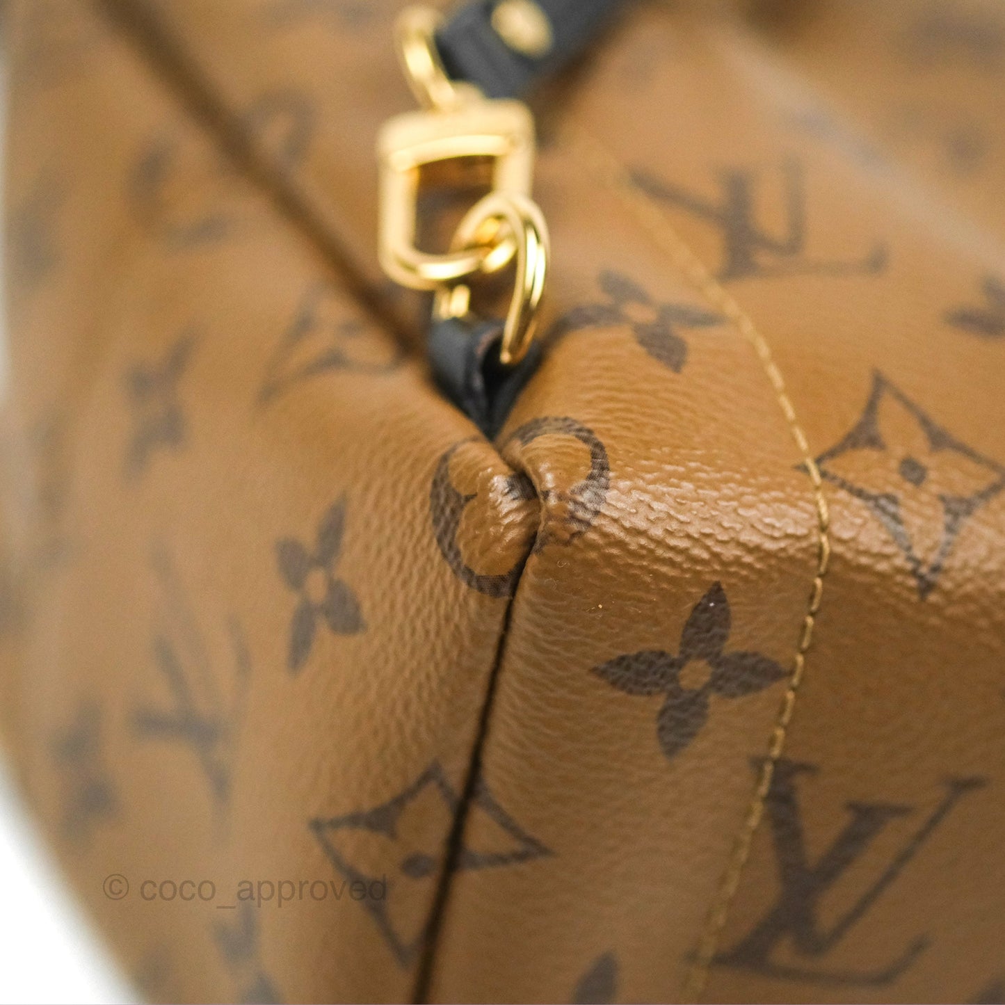 Louis Vuitton Reverse Mini Palm Springs Backpack⁣
