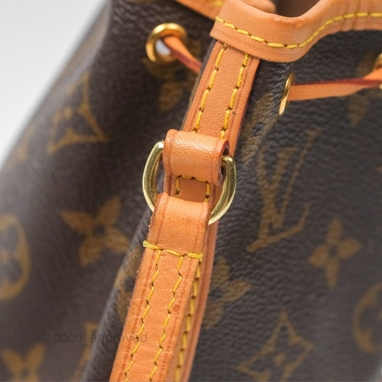 Louis Vuitton Nano Noe Monogram Canvas