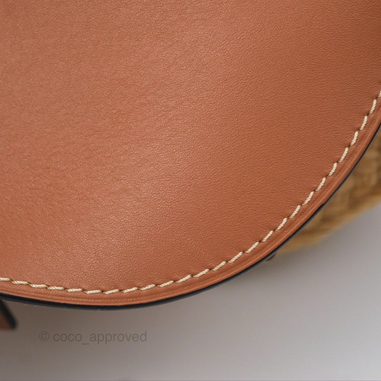 Loewe Small Raffia Gate Bag Smooth Calfskin in Tan