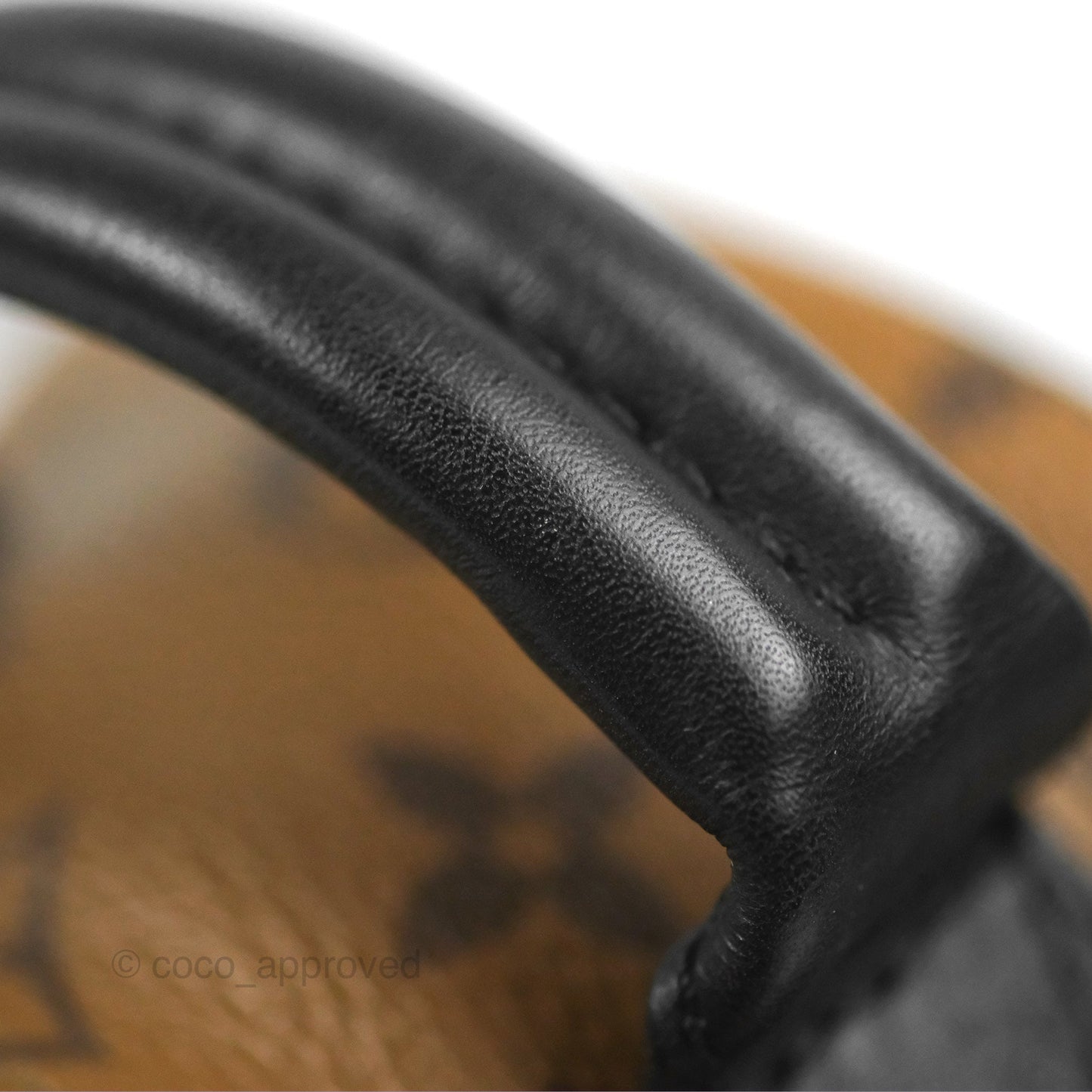 Louis Vuitton Reverse Mini Palm Springs Backpack⁣