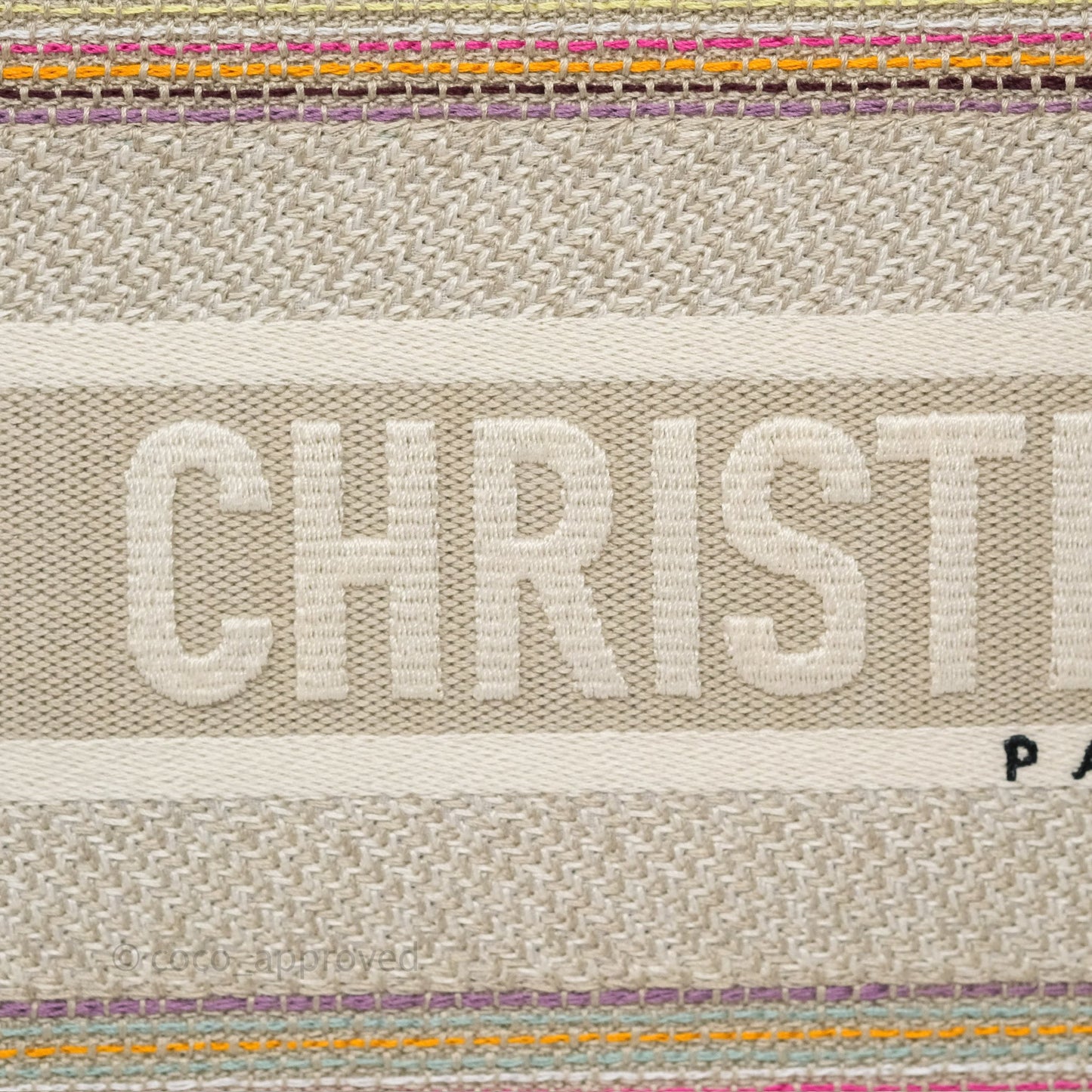 Christian Dior Medium Rainbow Book Tote Canvas