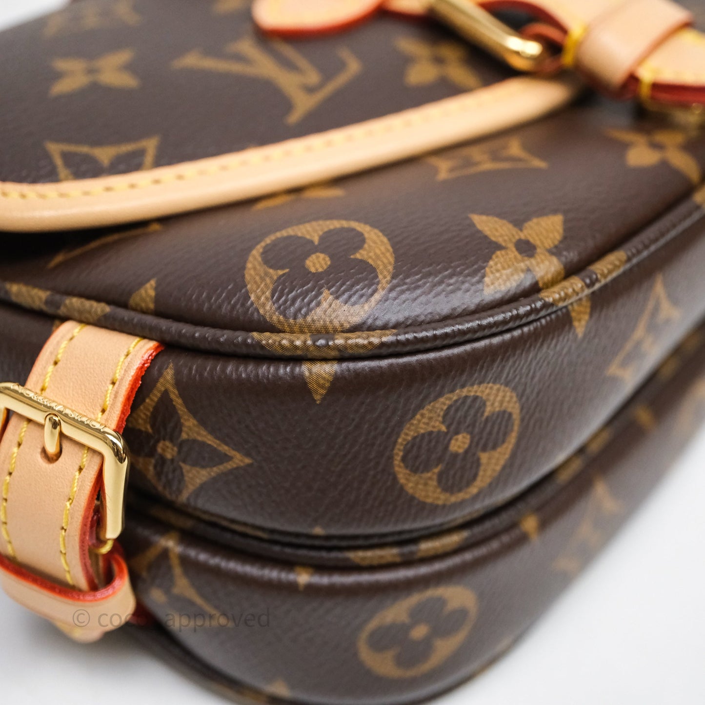 Louis Vuitton Saumur BB Monogram Bag Gold Hardware