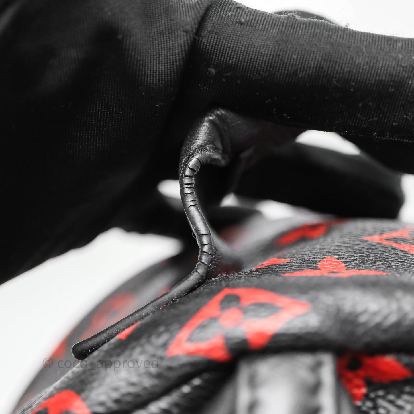 Louis Vuitton Palm Springs Backpack⁣ Monogram PM Infrarouge