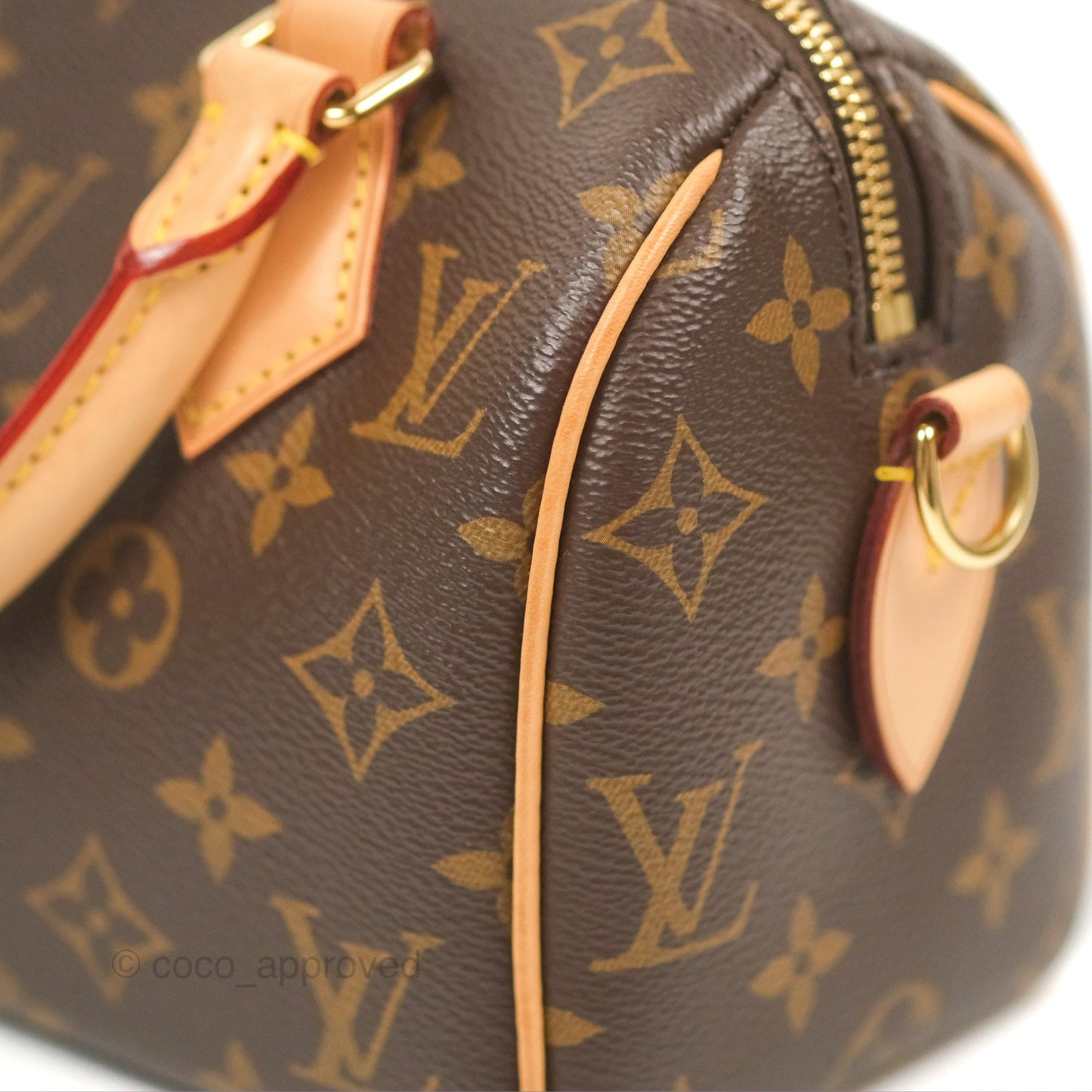 Louis Vuitton Speedy Bandoulière 20 Monogram