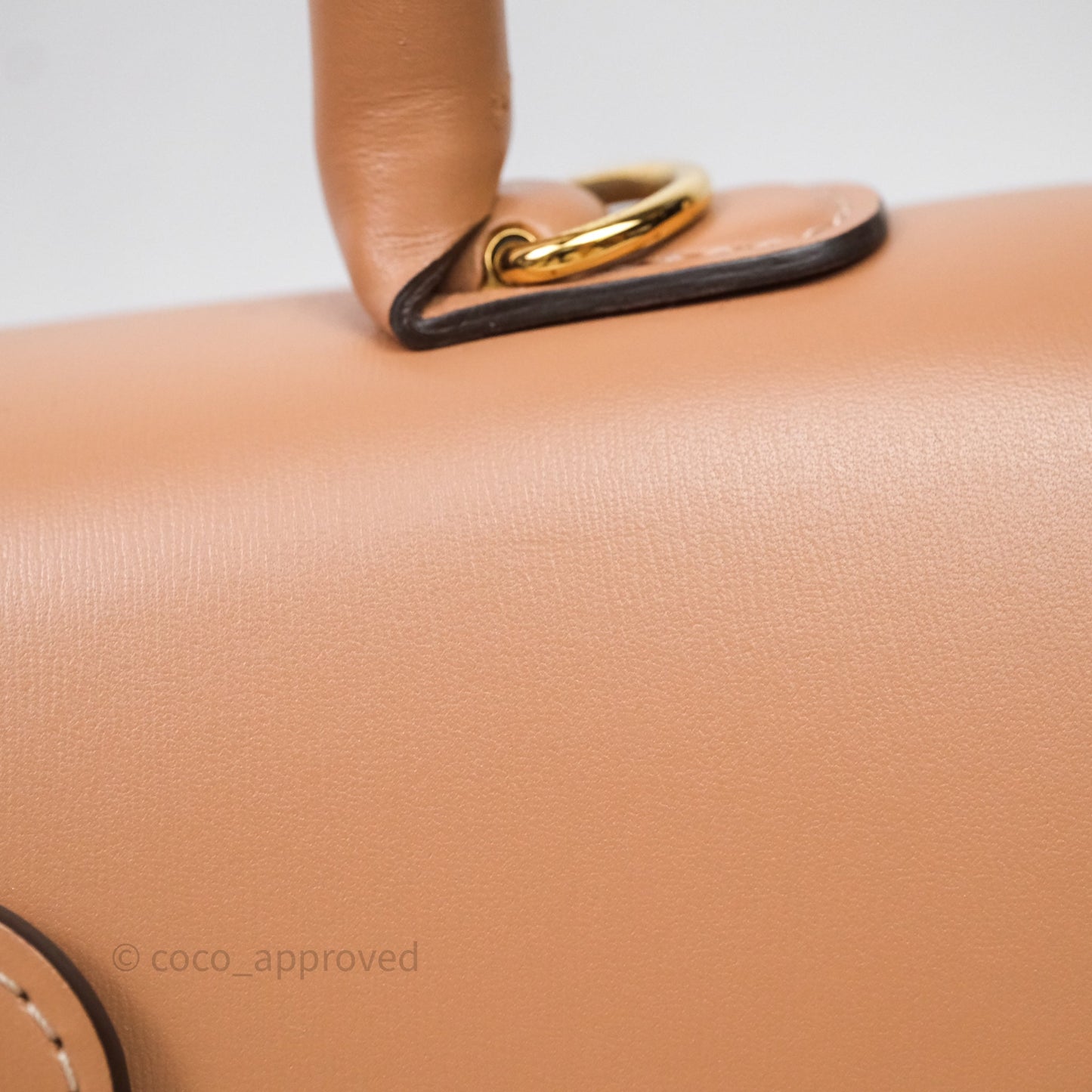Delvaux Brillant PM Tender Beige Box Calf