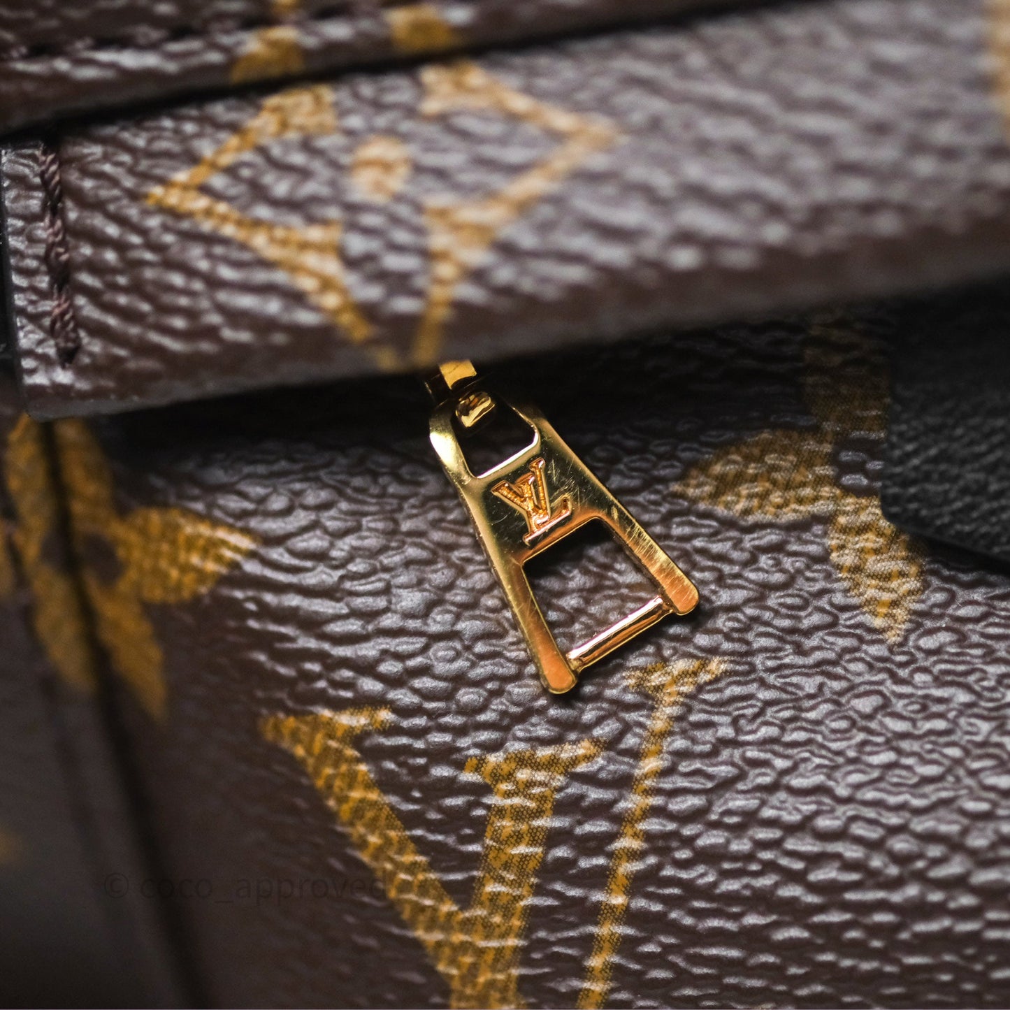 Louis Vuitton Monogram Mini Palm Springs Backpack⁣