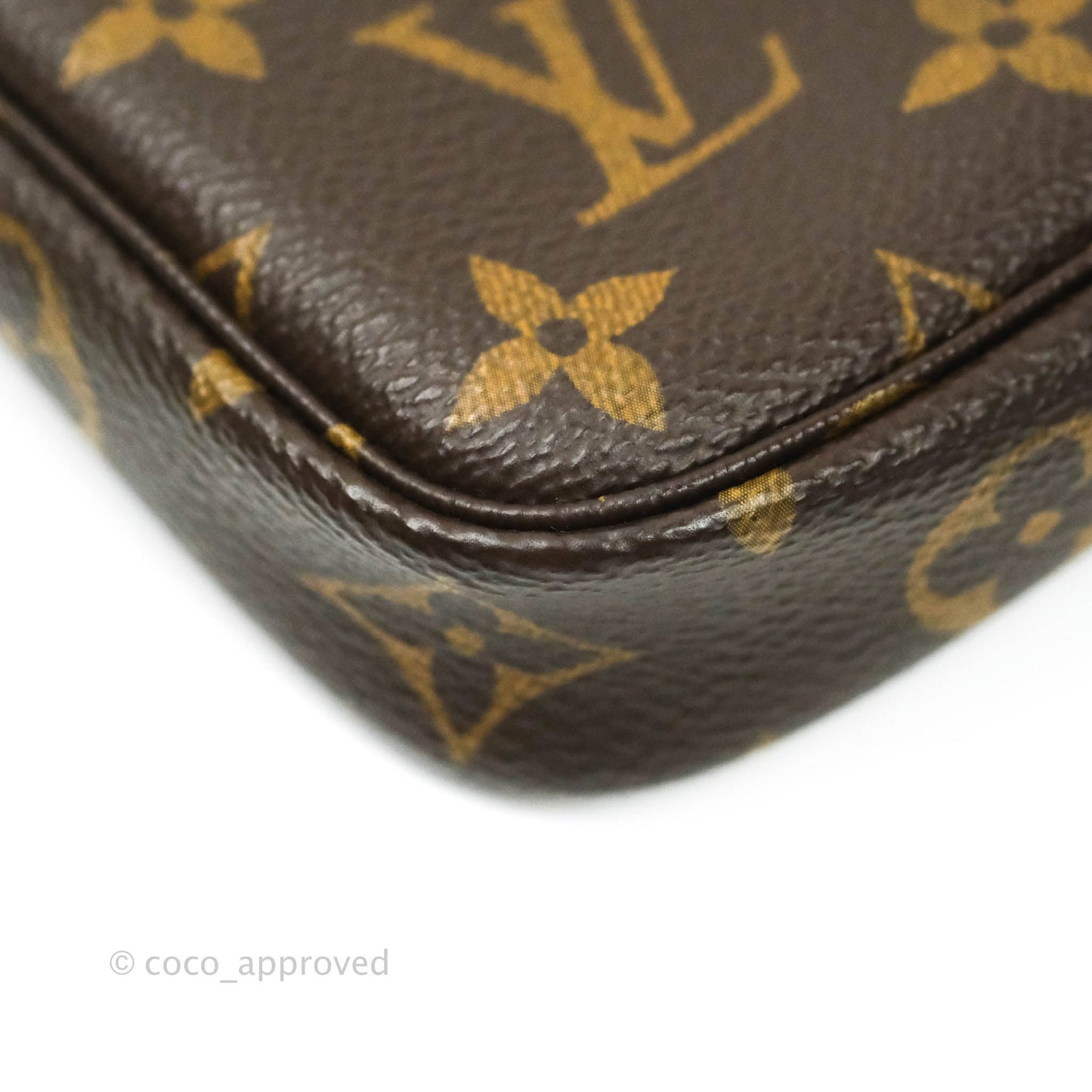 Louis Vuitton Monogram Canvas Mini Pochette Accessories