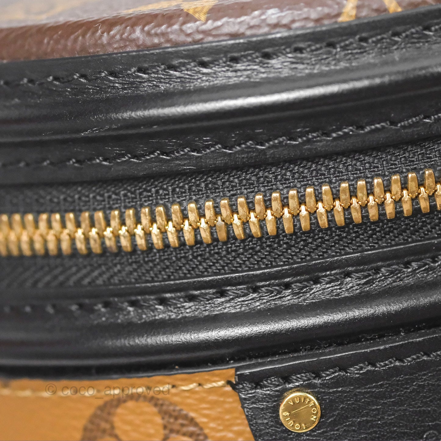 Louis Vuitton Monogram Canvas Reverse Cannes Bag