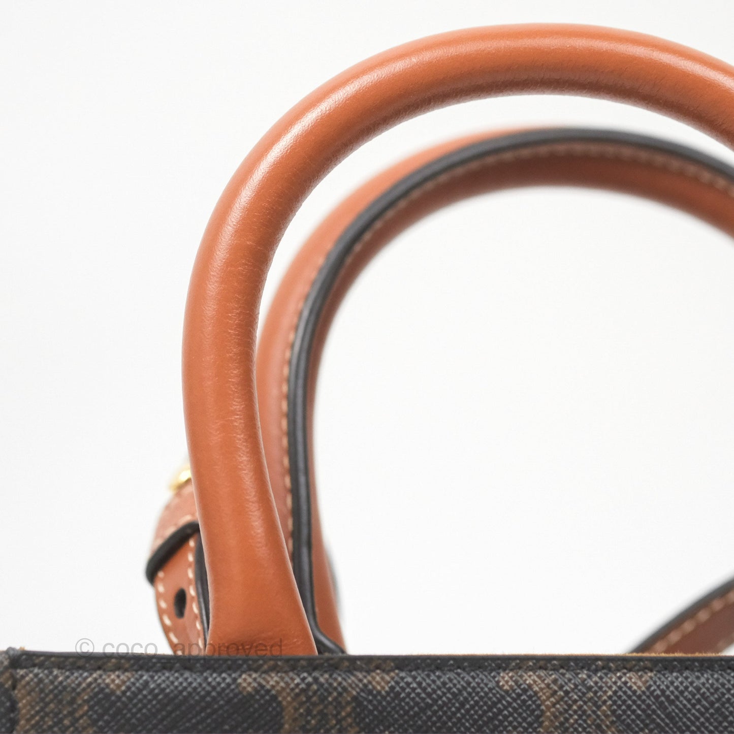 Celine Mini Vertical Cabas Bag Triomphe Canvas Tan
