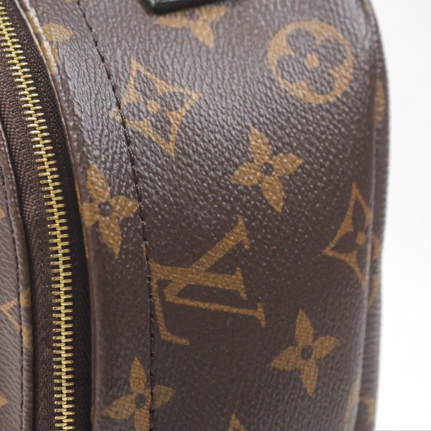 Louis Vuitton Monogram Mini Palm Springs Backpack⁣