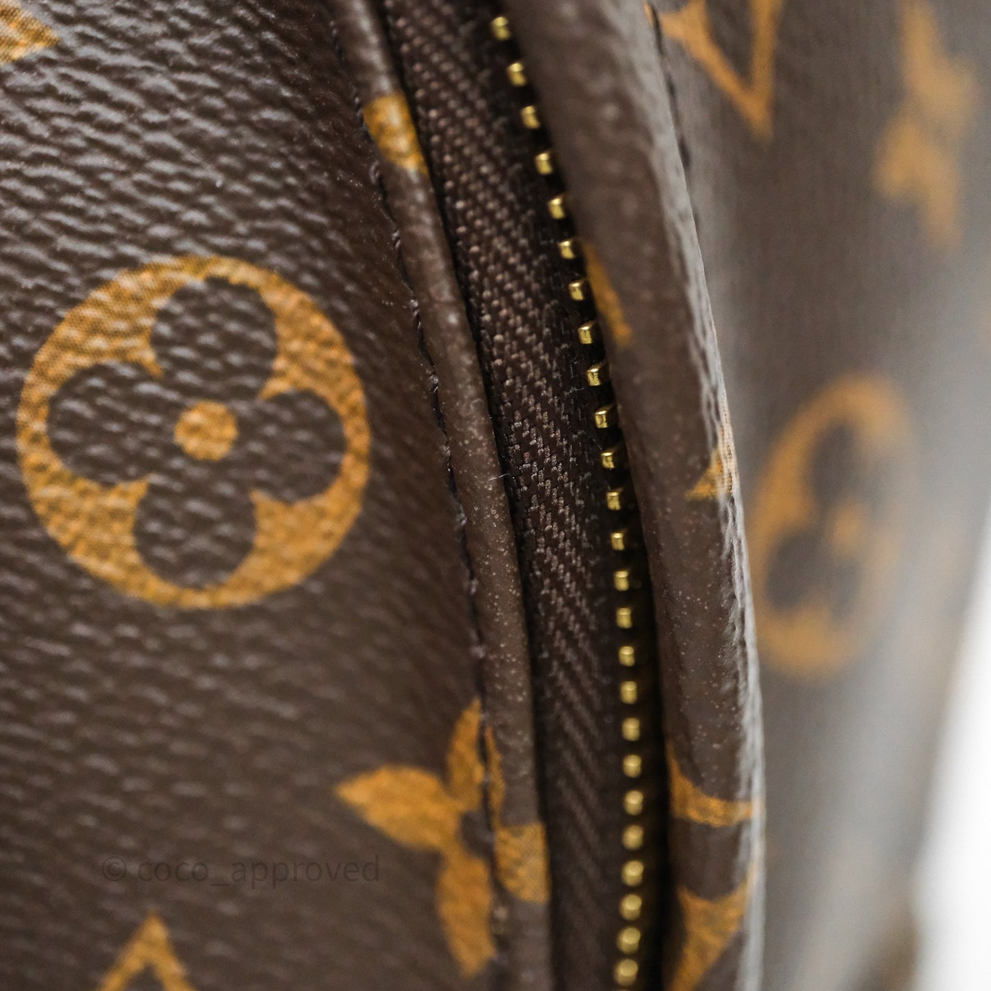 Louis Vuitton Palm Springs Backpack⁣ Monogram PM
