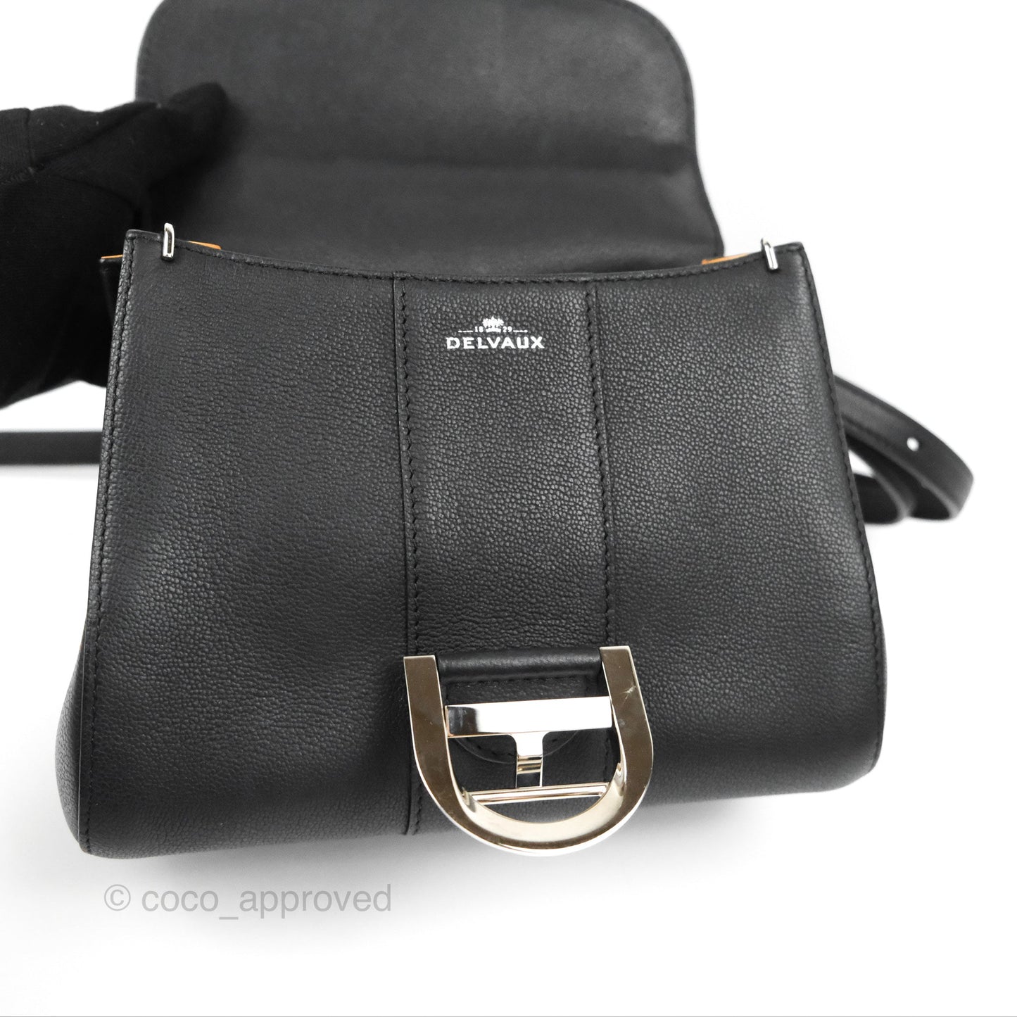 Delvaux Mini Brillant Bag Vegetal Rodeo Black Calf Silver Hardware
