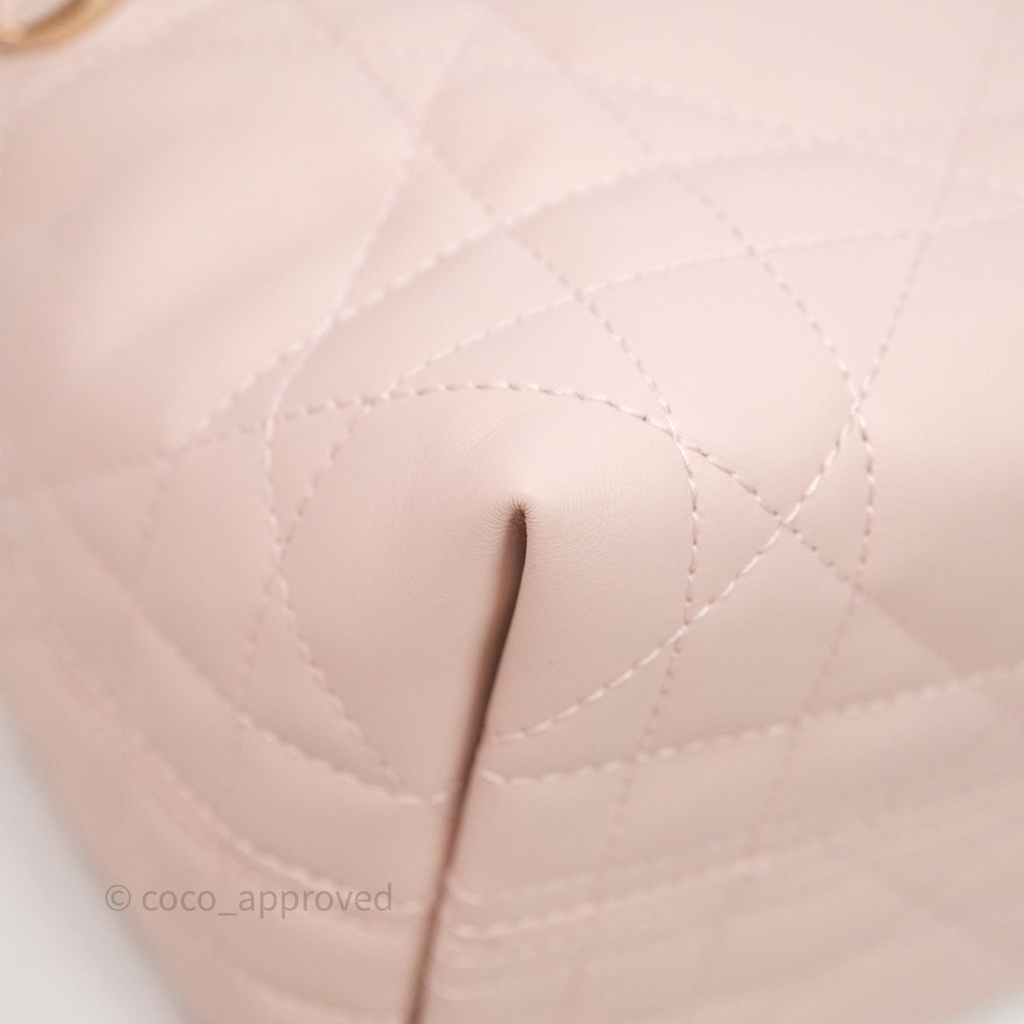 Christian Dior Toujours Vertical Nano Tote Bag Pink