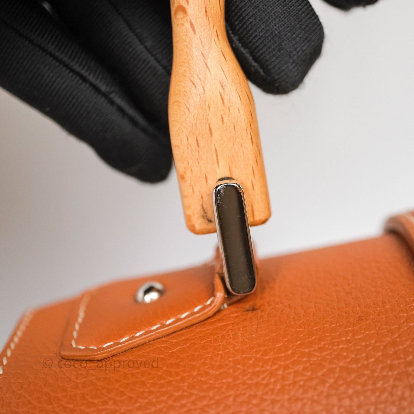 Goyard Saïgon Mini Bag Tan Goyardine Canvas/Chevroches Calfskin