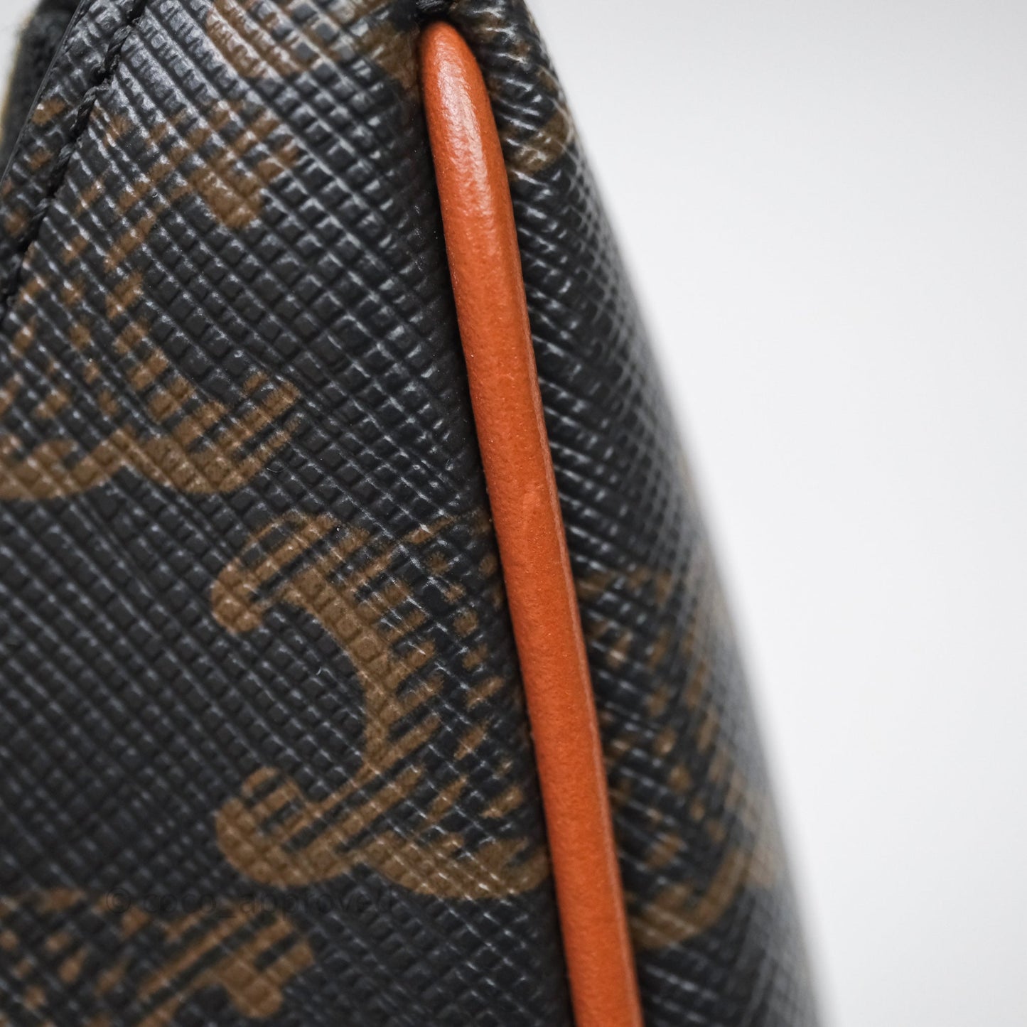 Celine Ava Bag In Triomphe Canvas Calfskin Tan