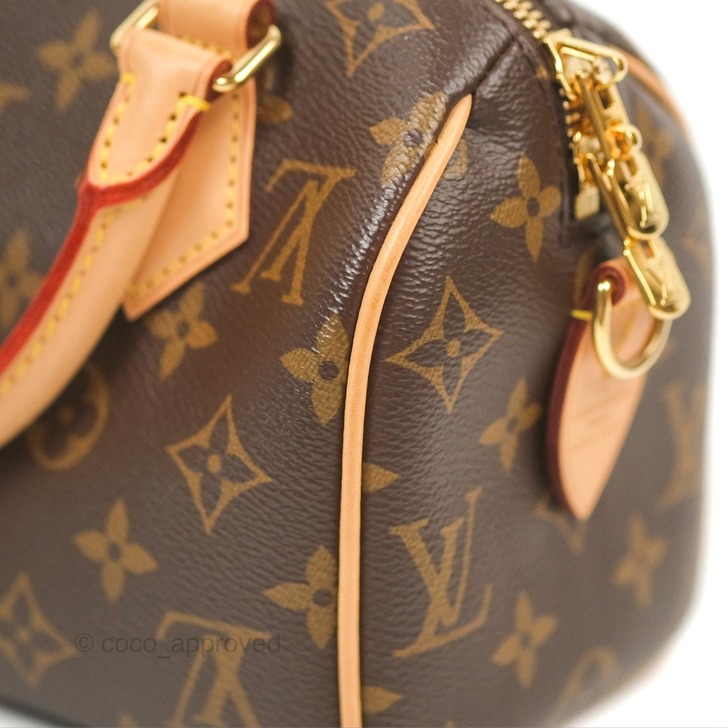 Louis Vuitton Speedy Bandoulière 20 Monogram