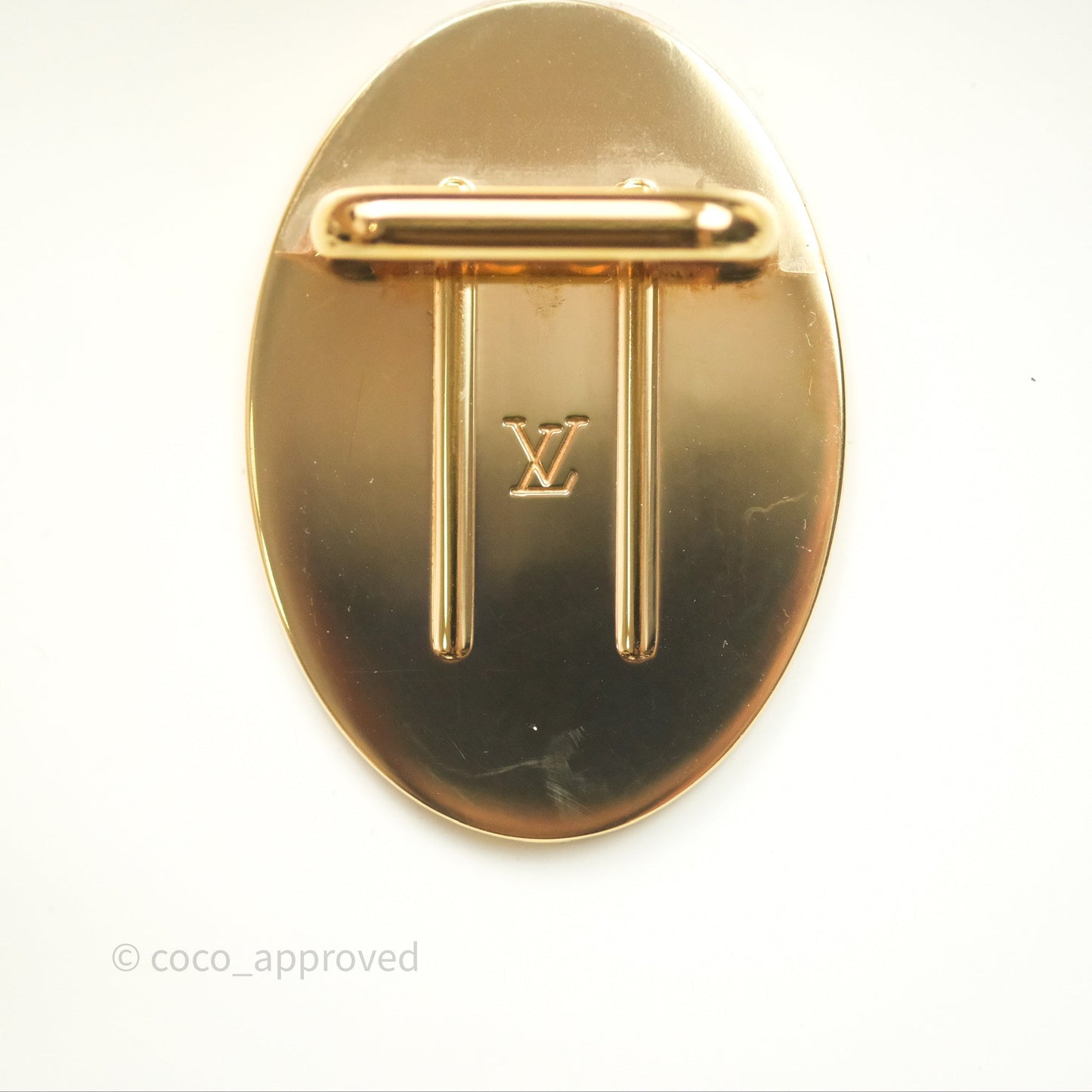 Louis Vuitton Hot Springs Backpack Monogram Patent Snow