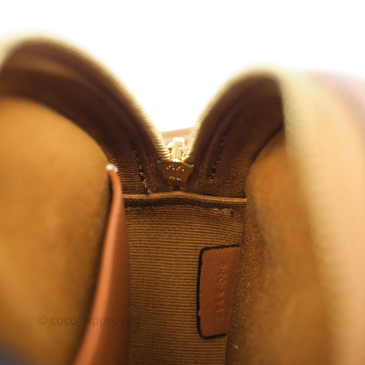 Celine Round Purse on Strap Triomphe Canvas Tan