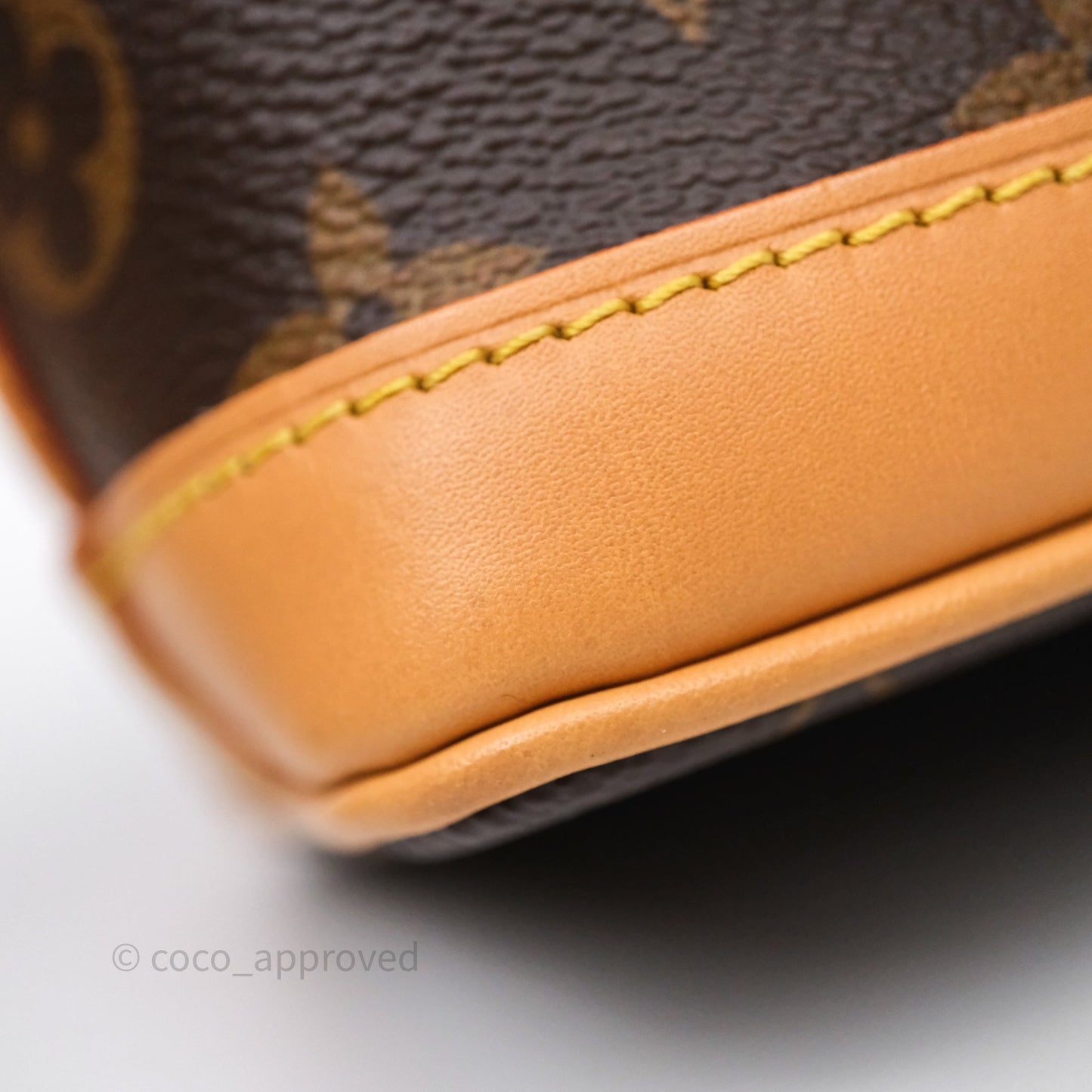 Louis Vuitton Nano Noe Monogram