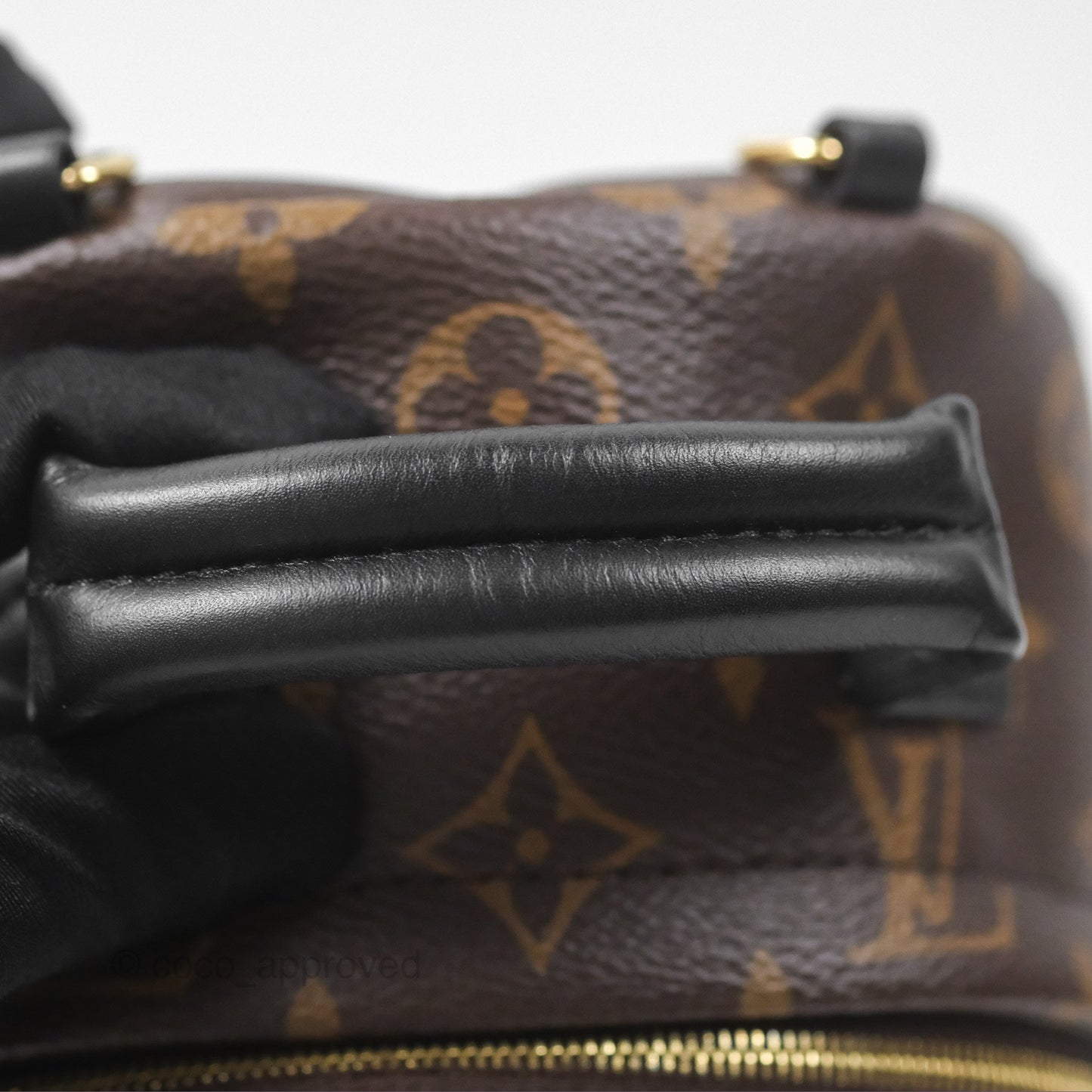 Louis Vuitton Monogram Mini Palm Springs Backpack⁣